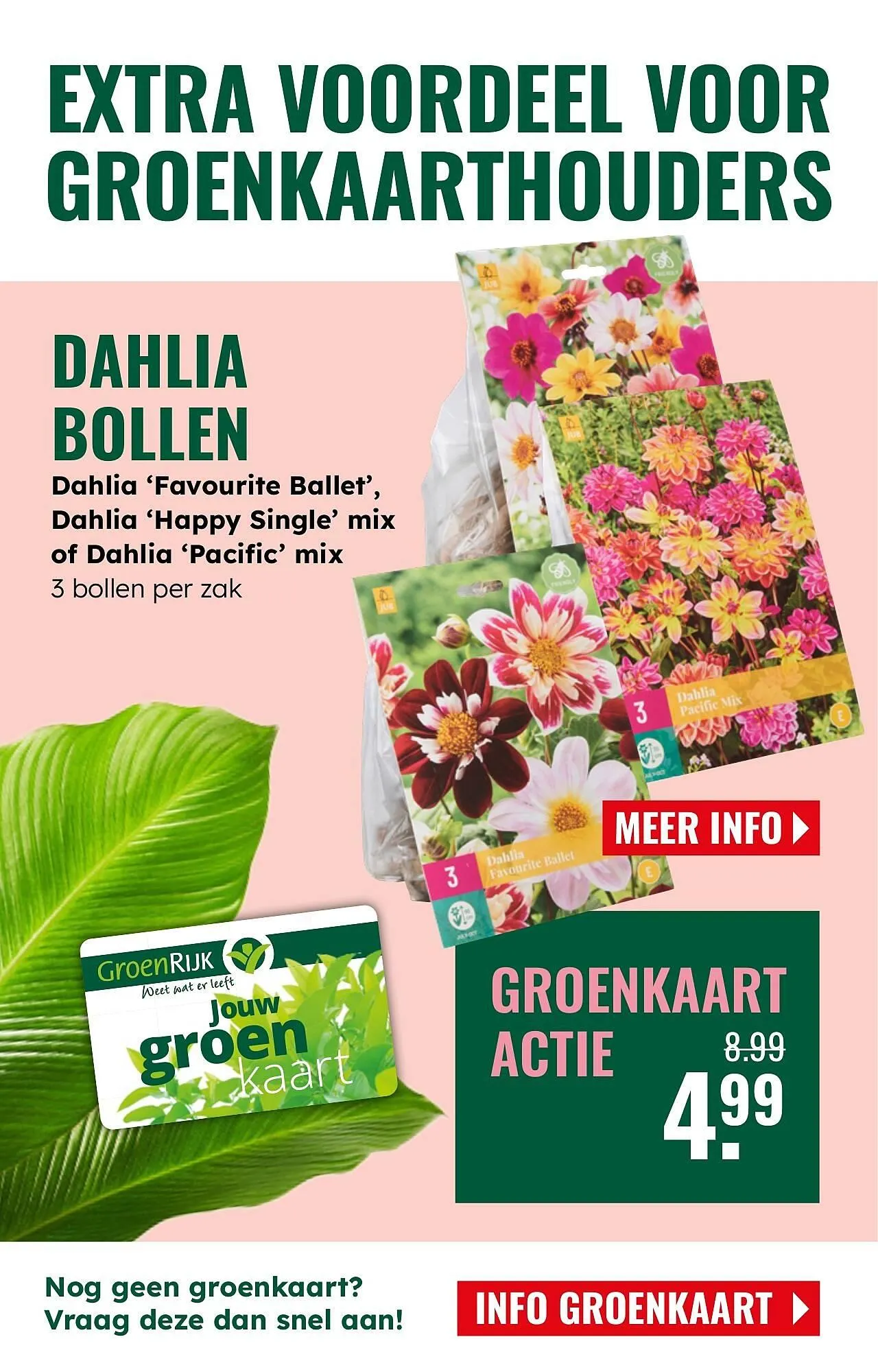 GroenRijk folder van 26 maart tot 1 april 2025 - Folder pagina 8