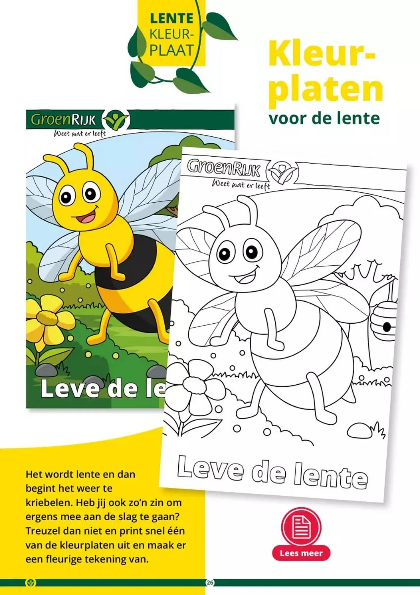 GroenRijk folder van 17 mei tot 31 augustus 2023 - Folder pagina 26