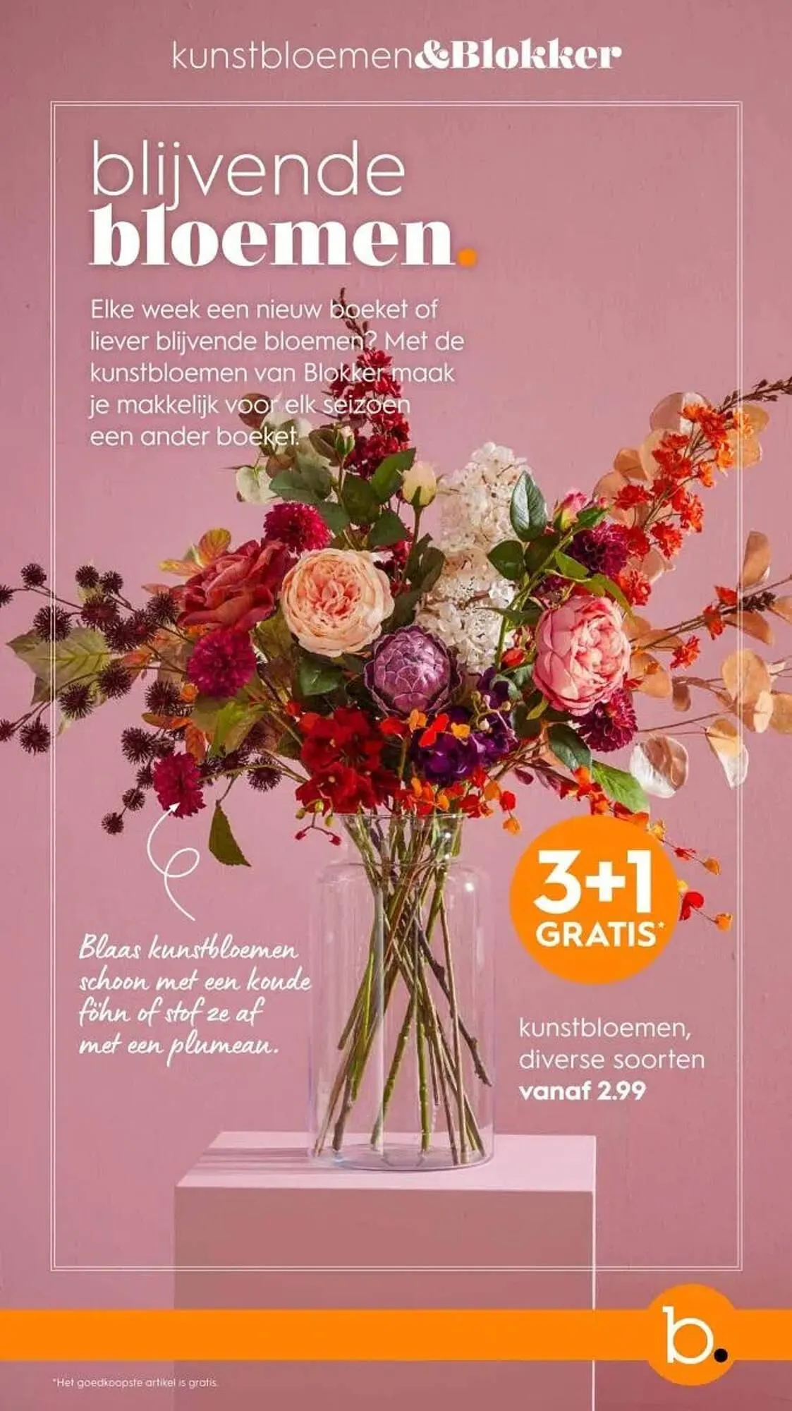 Blokker folder van 1 oktober tot 29 november 2024 - Folder pagina 13