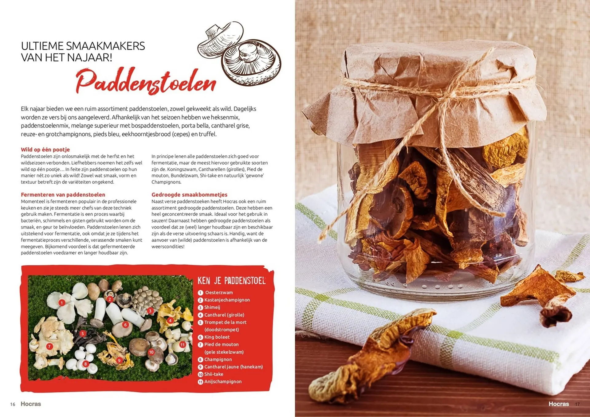 Hocras folder van 15 februari tot 31 december 2023 - Folder pagina 9