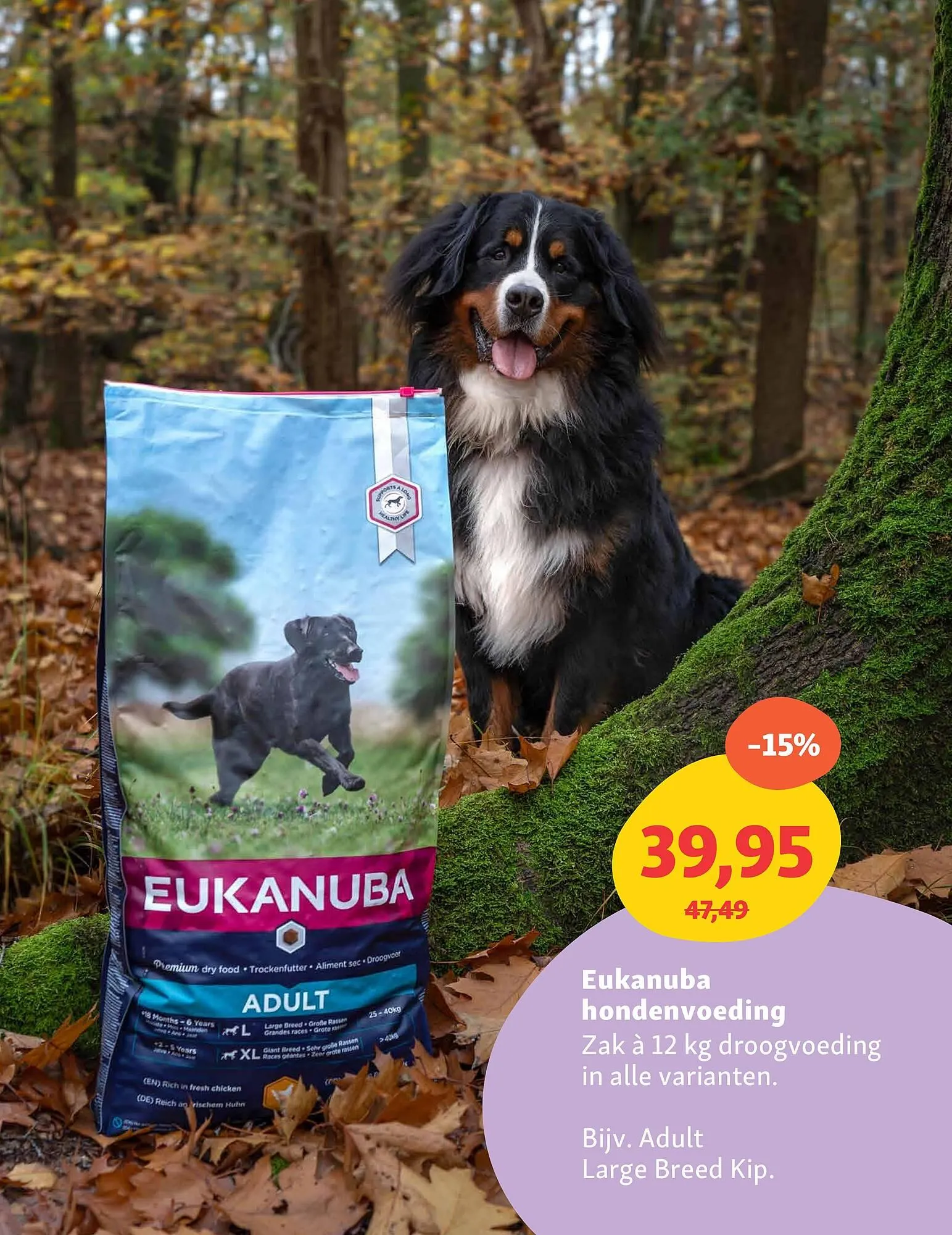 Maxi Zoo folder van 26 mei tot 1 juni 2025 - Folder pagina 6