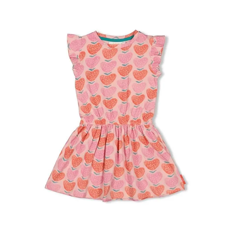 Jubel meisjes jurk Berry Nice