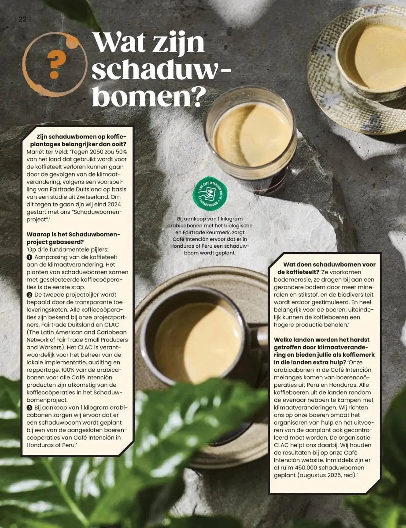 Albert Heijn folder van 27 oktober tot 31 december 2025 - Folder pagina 22