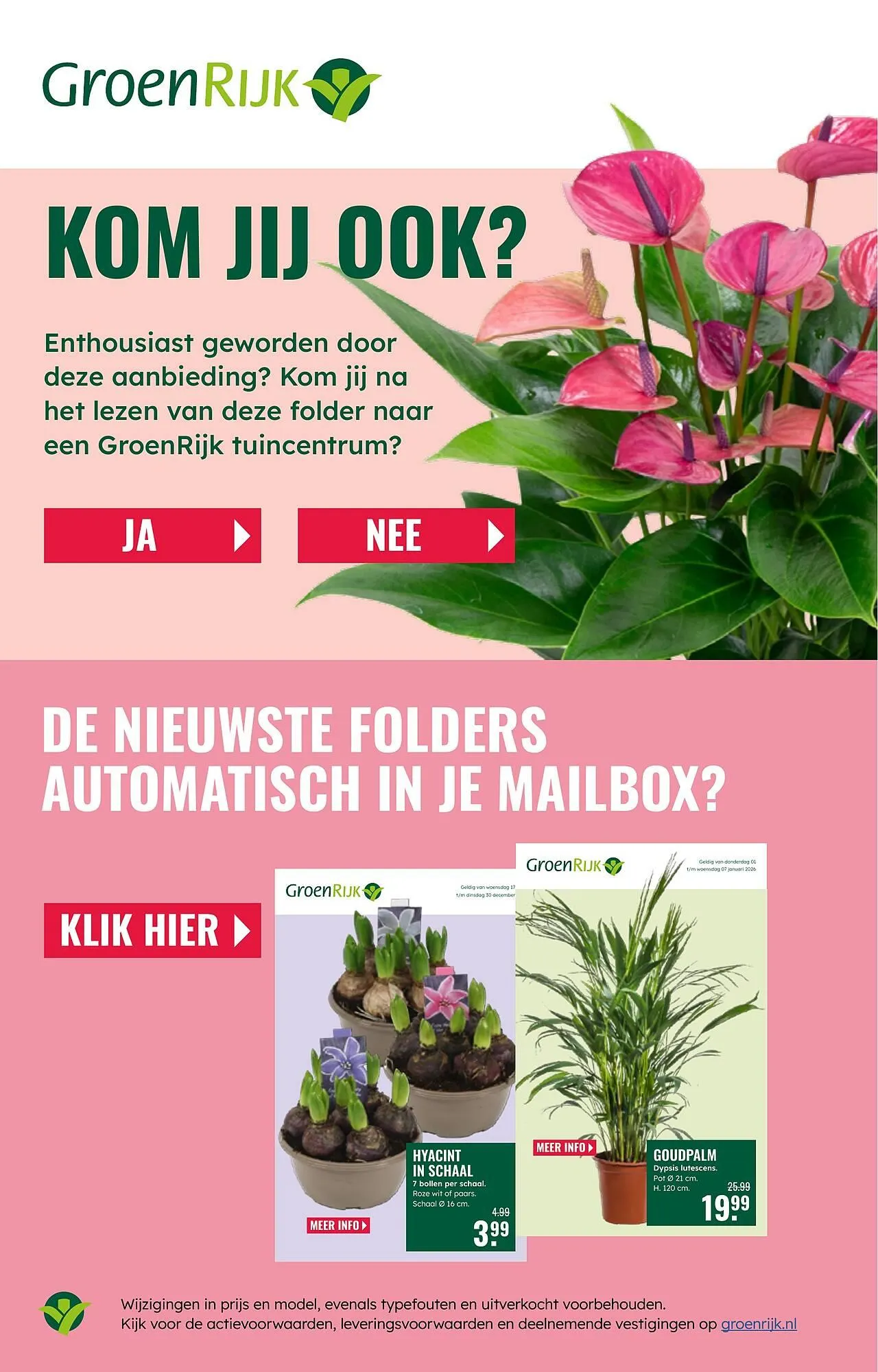 GroenRijk folder van 8 januari tot 14 januari 2026 - Folder pagina 2