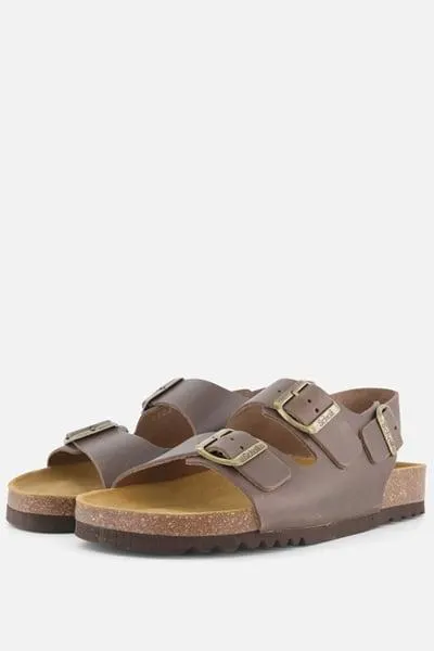 Scholl Henri Sandalen bruin Leer