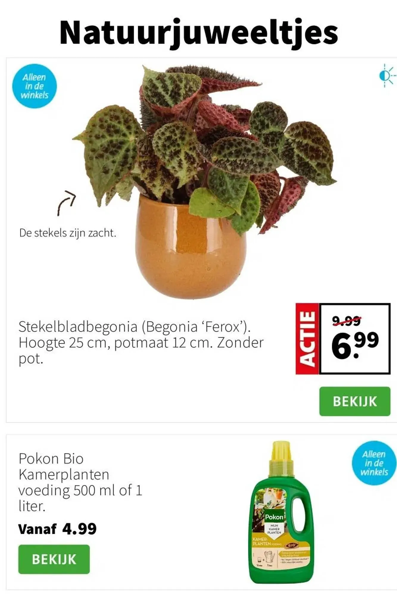 Intratuin folder van 19 januari tot 25 januari 2026 - Folder pagina 2