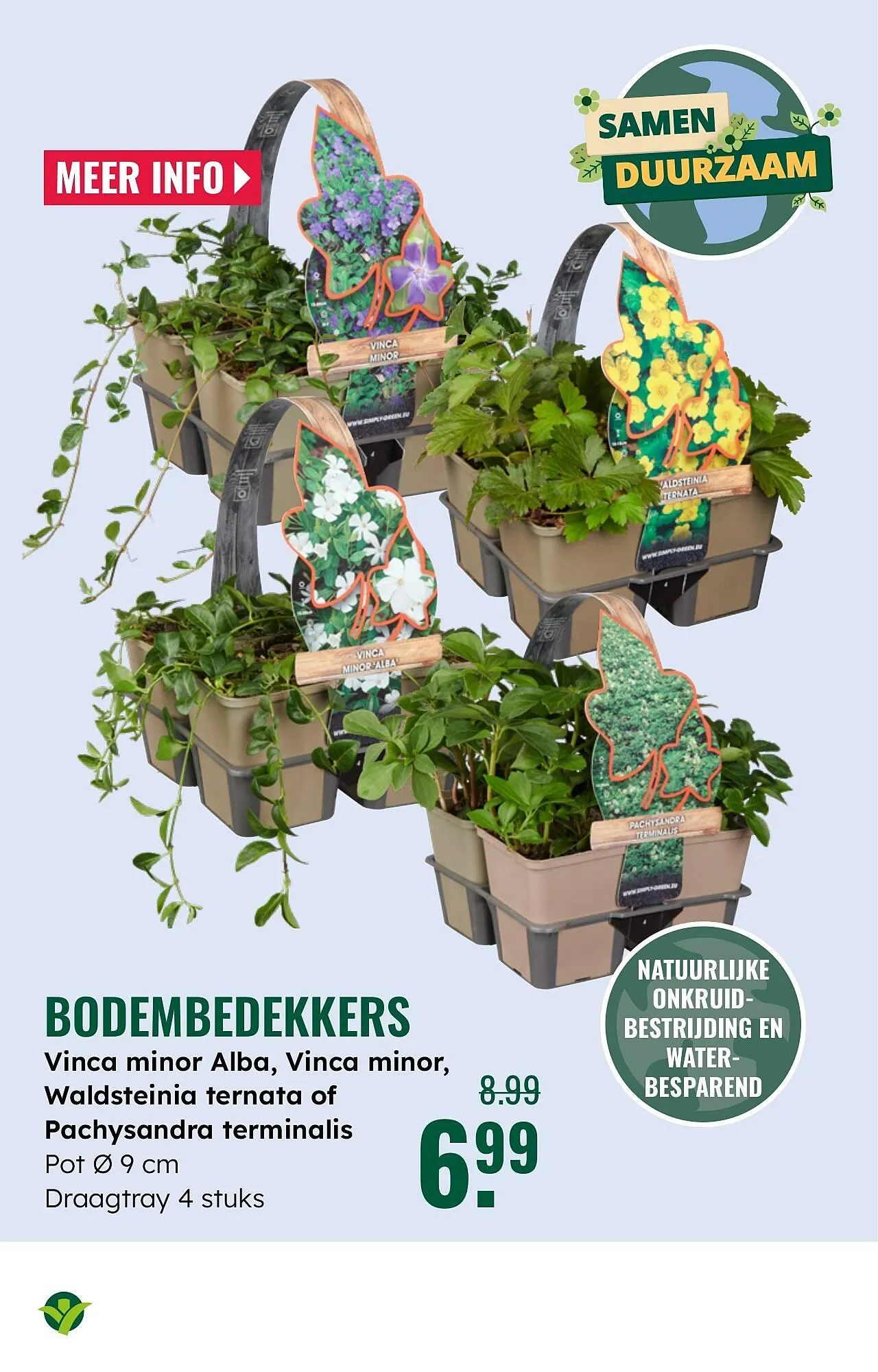 GroenRijk folder van 26 maart tot 1 april 2025 - Folder pagina 16