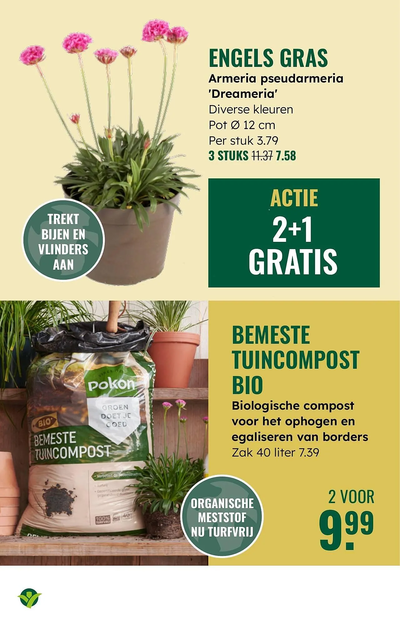 GroenRijk folder van 26 maart tot 1 april 2025 - Folder pagina 13