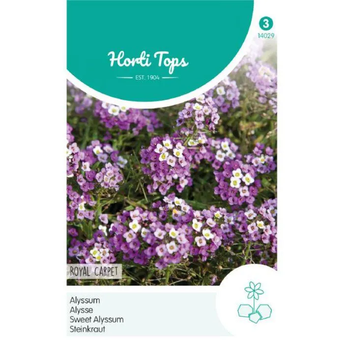 Alyssum - Royal Carpet