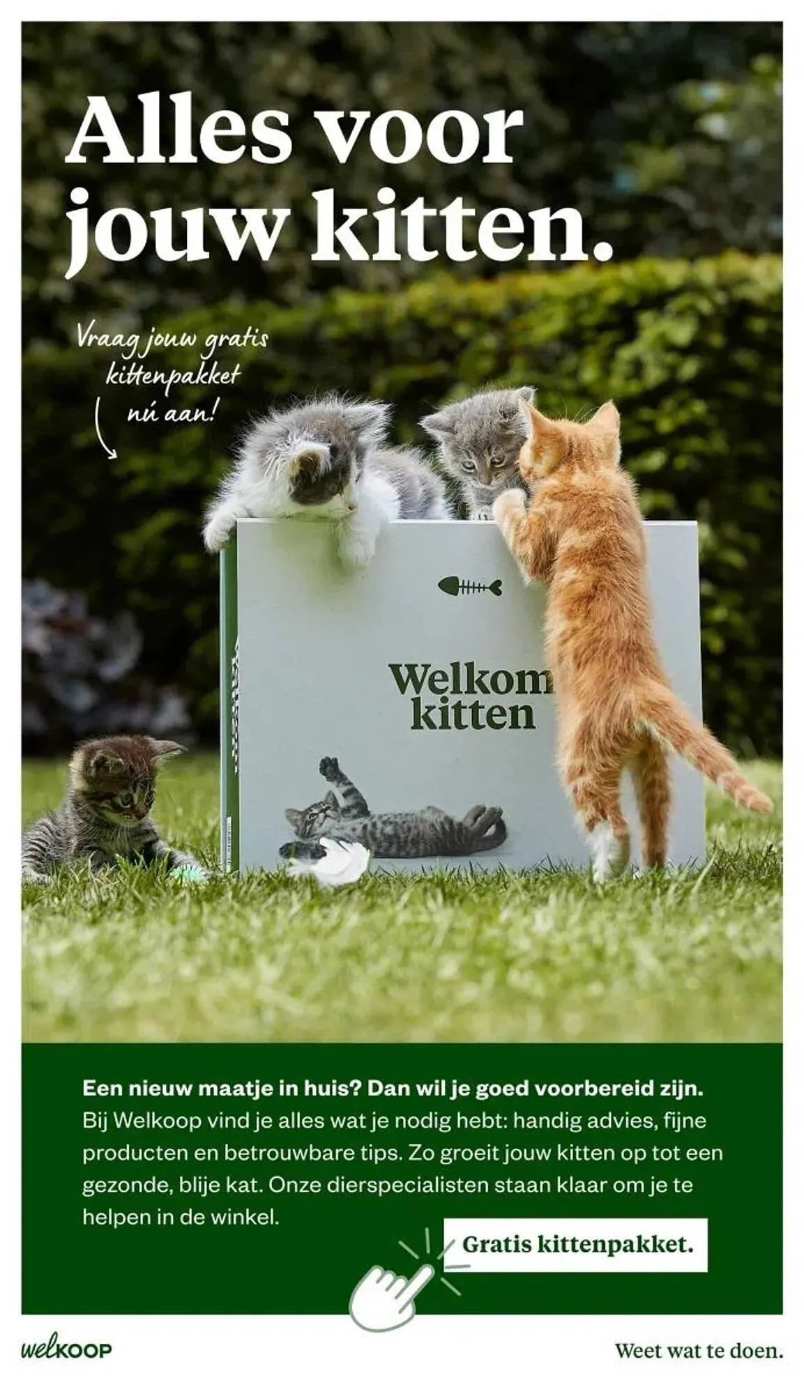 Welkoop folder van 27 oktober tot 2 november 2025 - Folder pagina 24