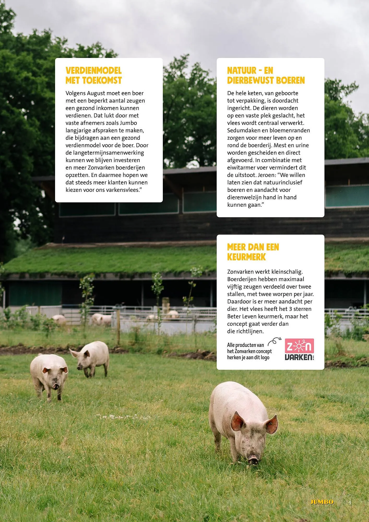 Jumbo folder van 30 juni tot 7 juli 2025 - Folder pagina 9