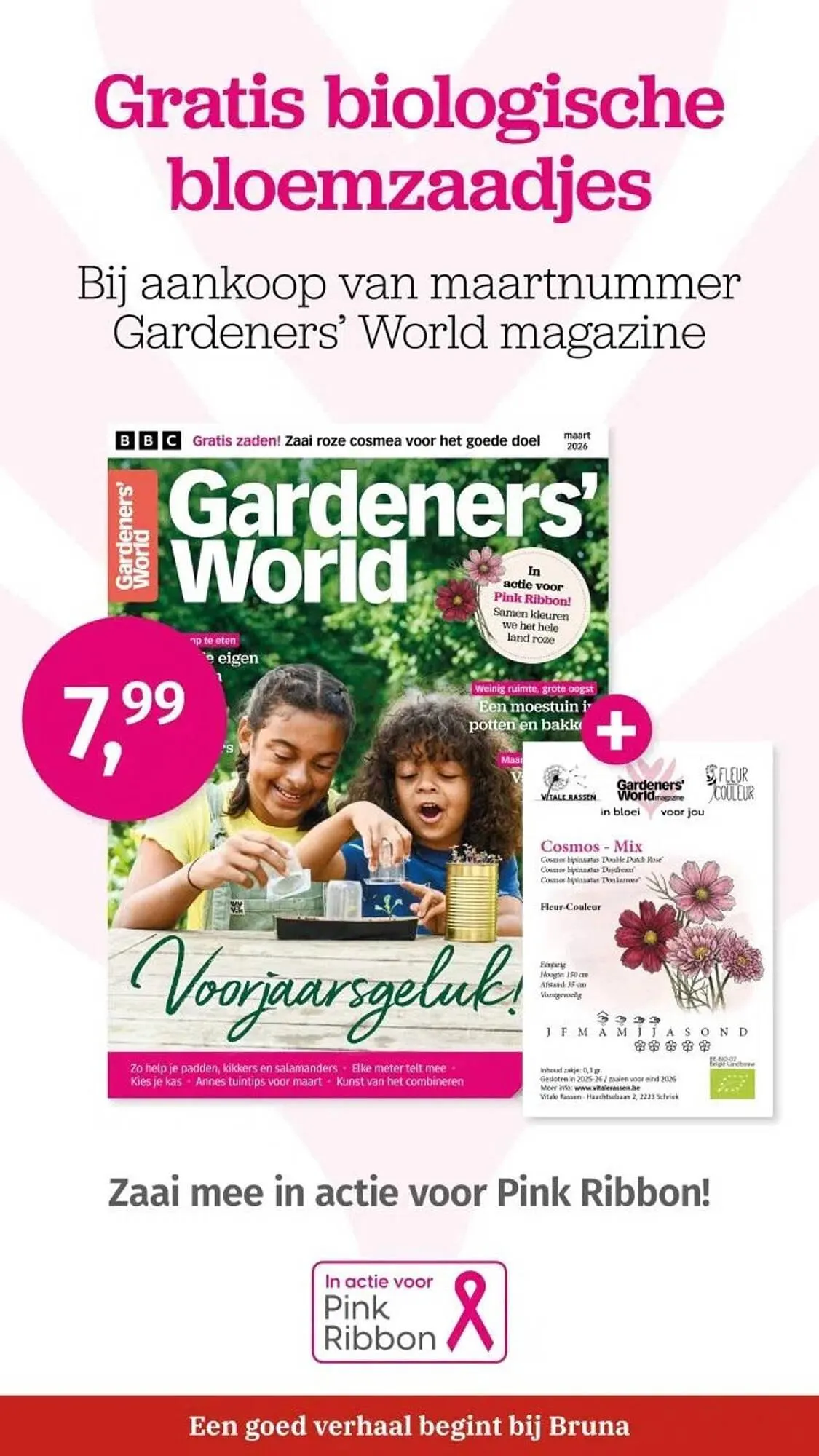 Bruna folder van 9 maart tot 22 maart 2026 - Folder pagina 36