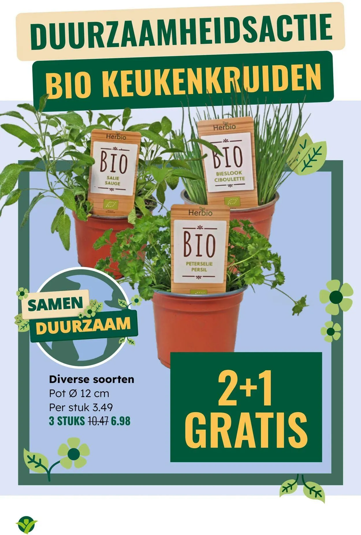 GroenRijk Actuele folder van 10 juni tot 24 juni 2025 - Folder pagina 7