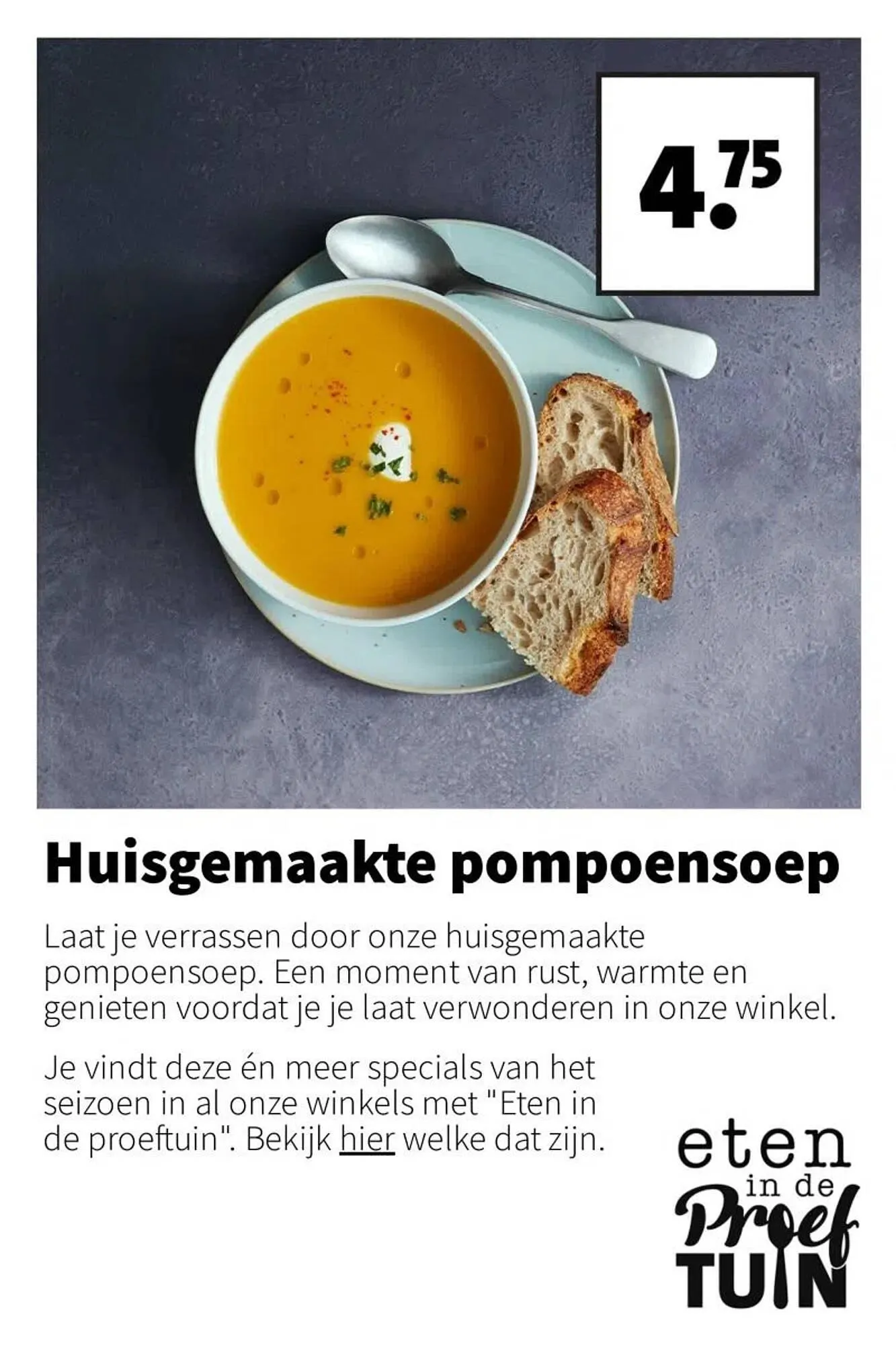 Intratuin folder van 10 november tot 16 november 2025 - Folder pagina 17