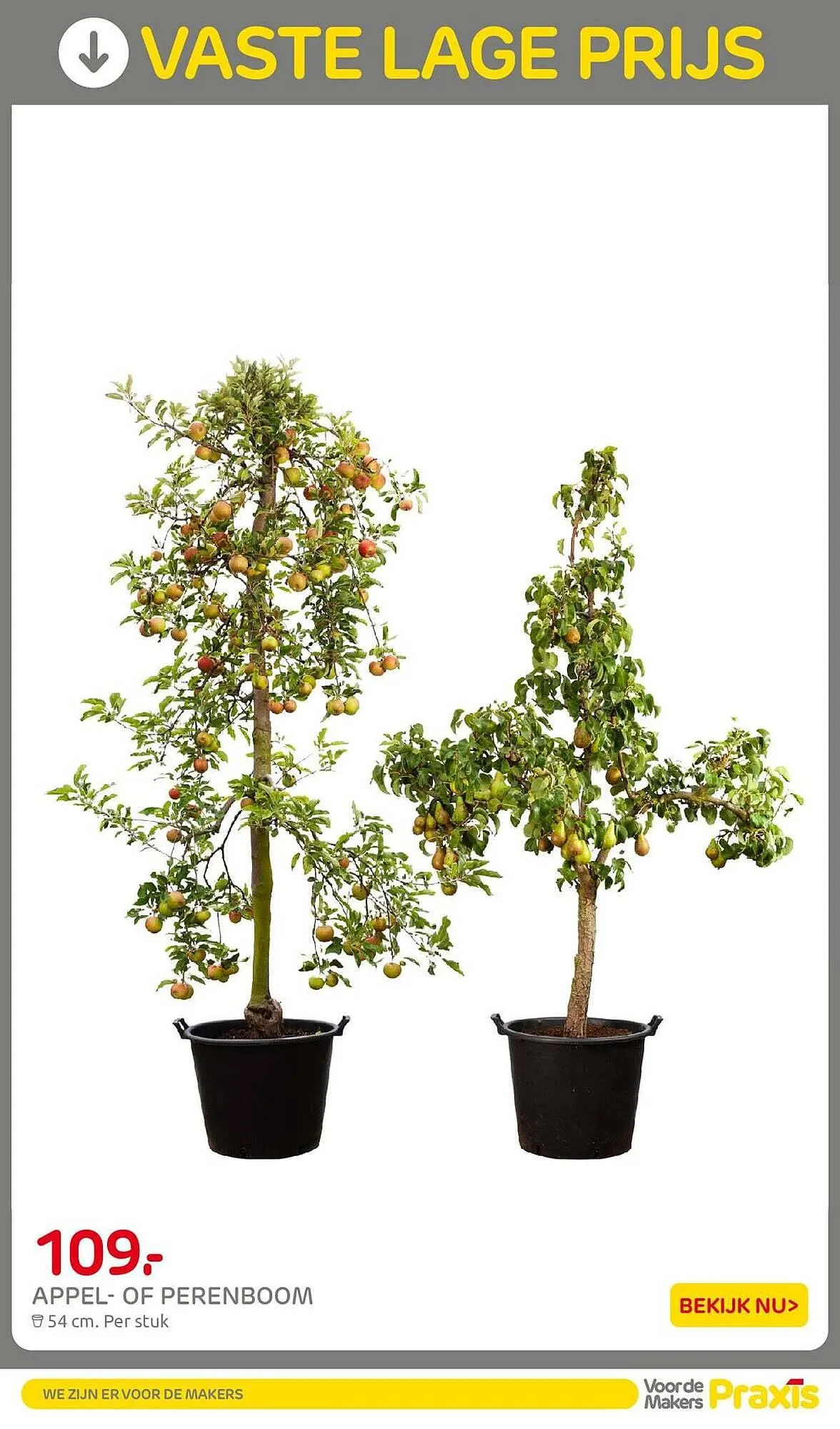 Praxis folder van 30 maart tot 12 april 2026 - Folder pagina 30