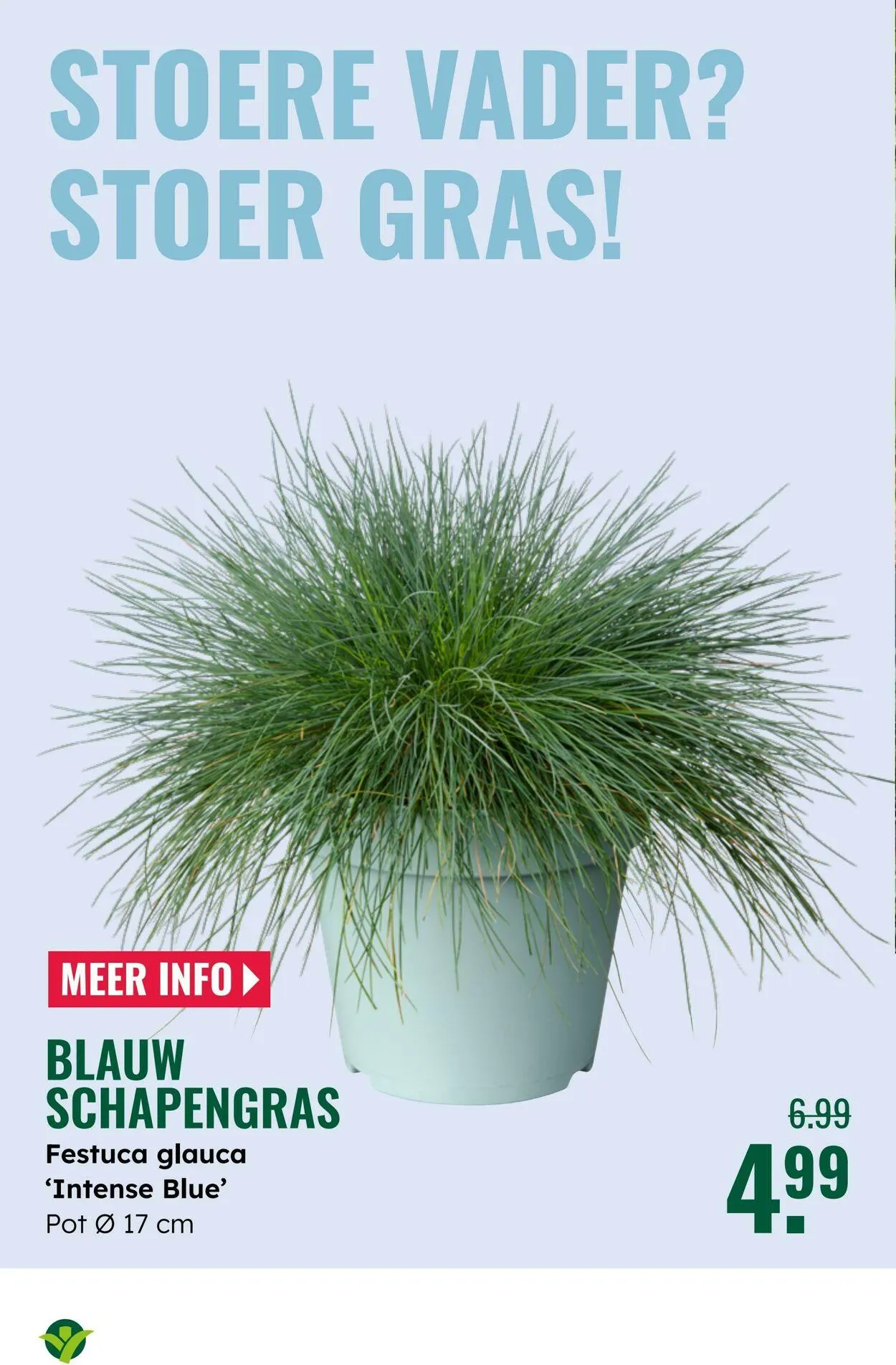 GroenRijk Actuele folder van 16 september tot 30 september 2025 - Folder pagina 4