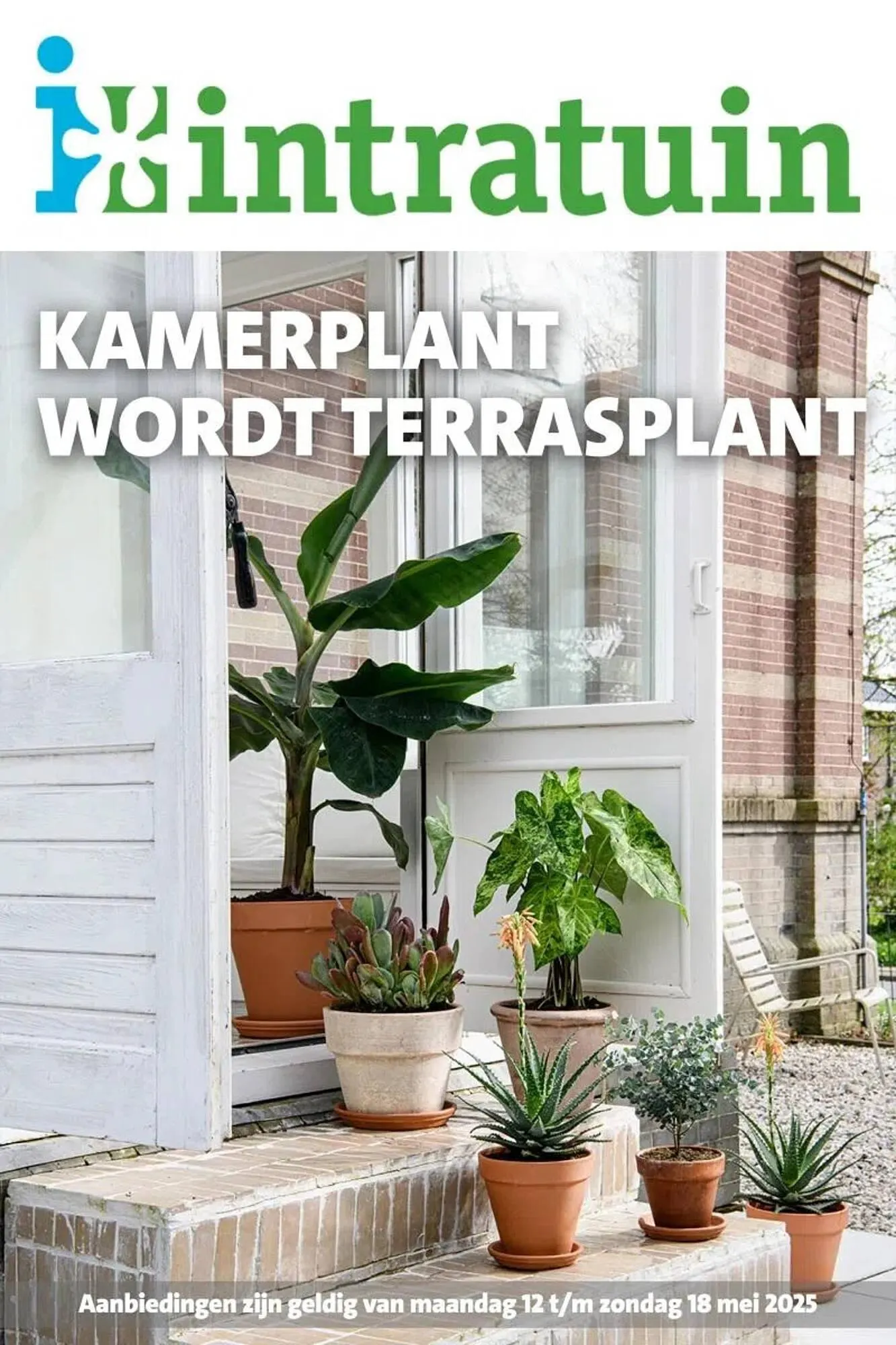 Intratuin folder van 12 mei tot 18 mei 2025 - Folder pagina 1