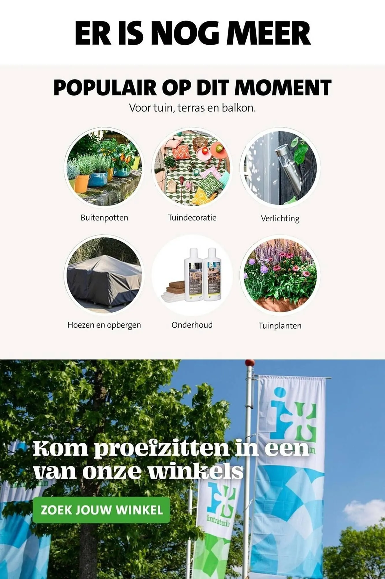 Intratuin folder van 22 maart tot 13 augustus 2023 - Folder pagina 53