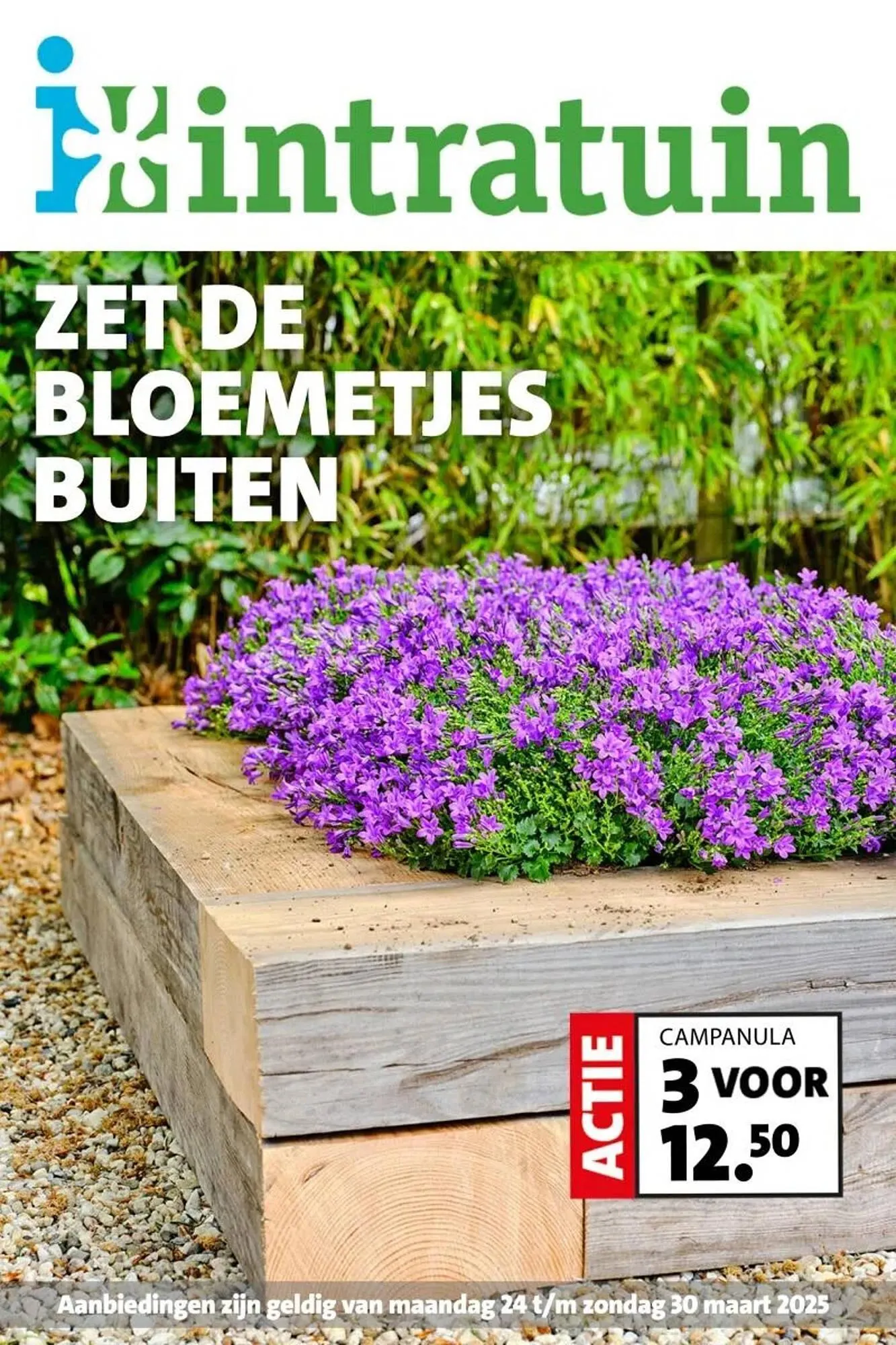 Intratuin folder van 24 maart tot 30 maart 2025 - Folder pagina 1