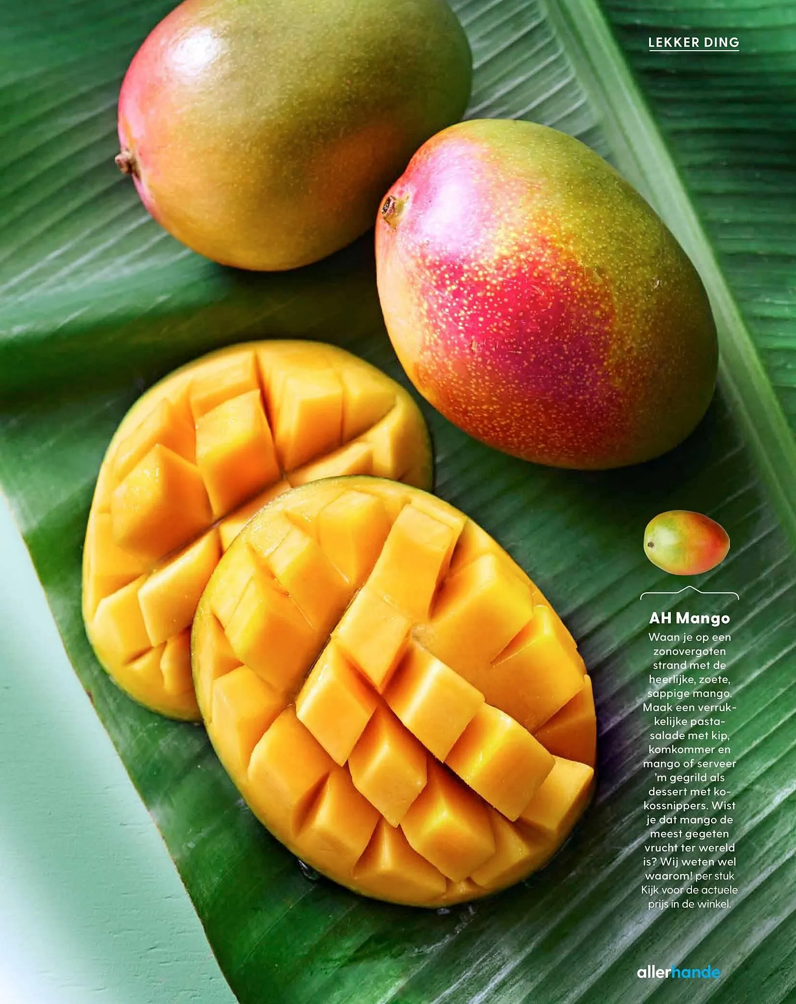 Allerhande magazine van 20 mei tot 30 juni 2025 - Folder pagina 7