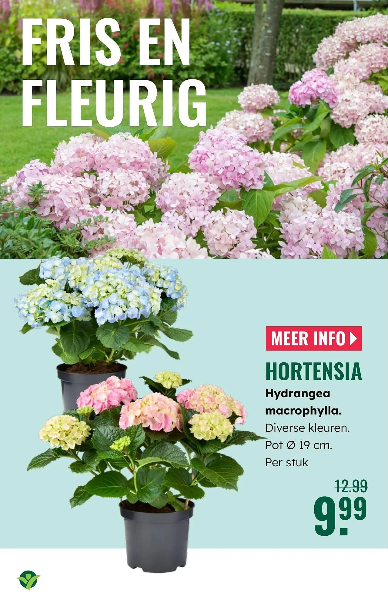 GroenRijk folder van 19 maart tot 25 maart 2026 - Folder pagina 4