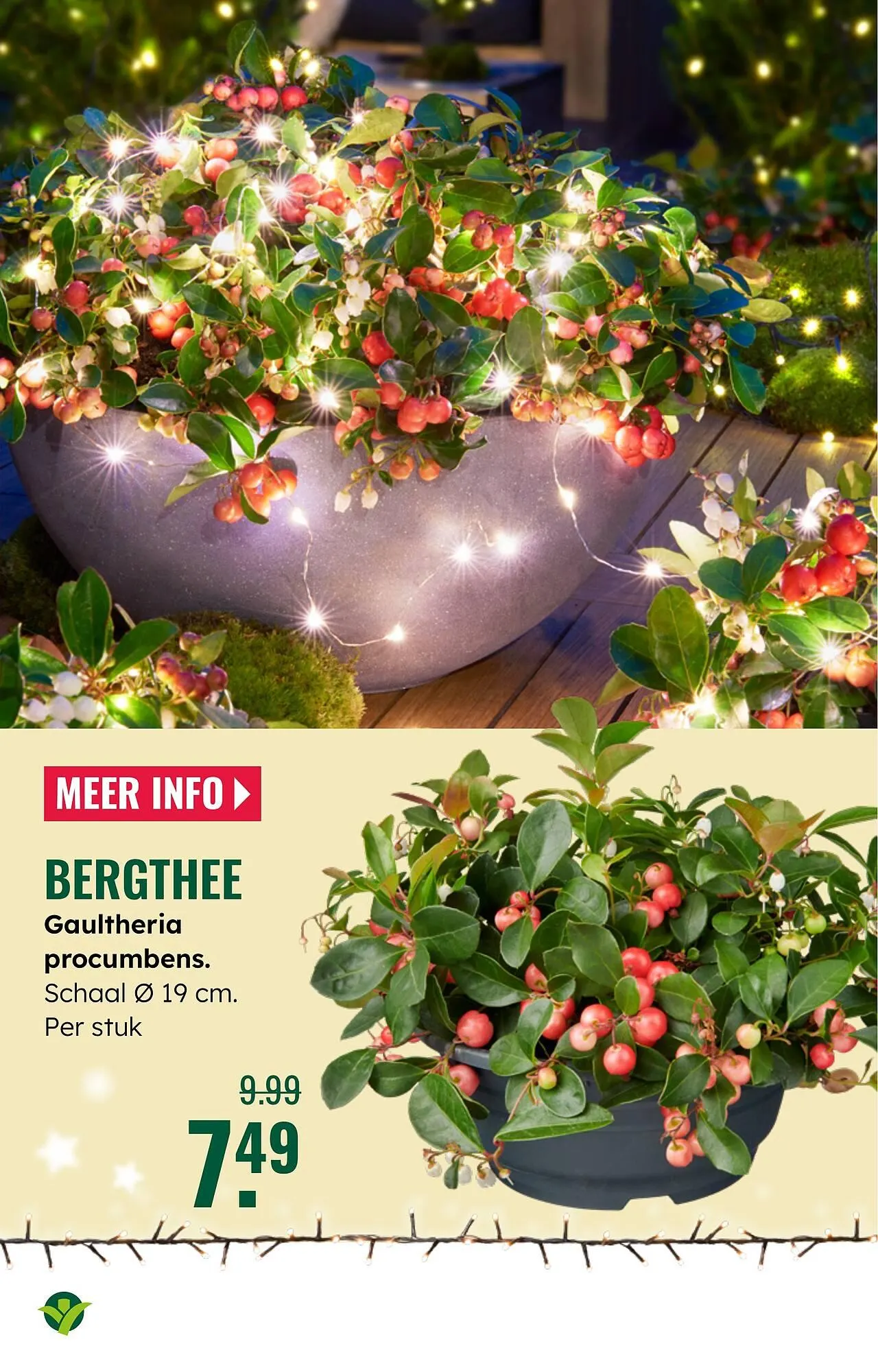 GroenRijk folder van 3 december tot 9 december 2025 - Folder pagina 3