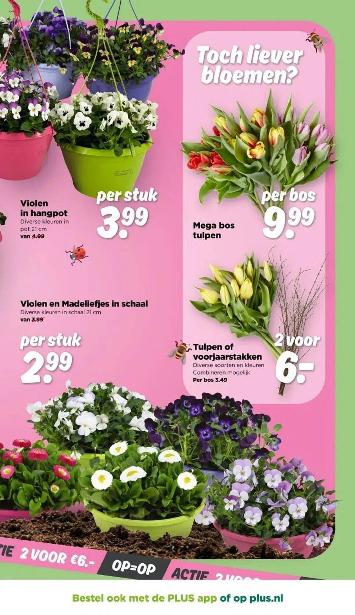 PLUS folder van 12 maart tot 18 maart 2025 - Folder pagina 37