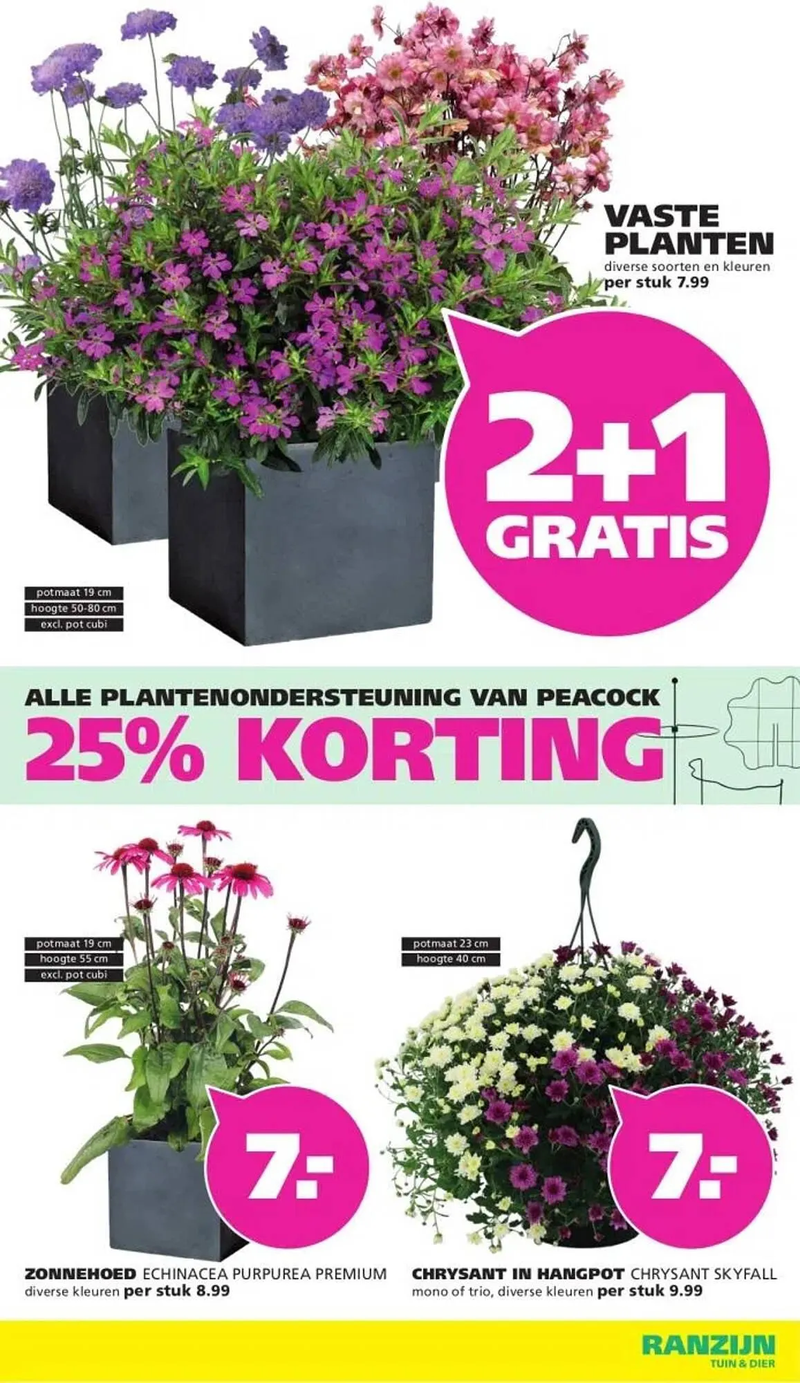 Ranzijn folder van 27 juli tot 9 augustus 2025 - Folder pagina 14