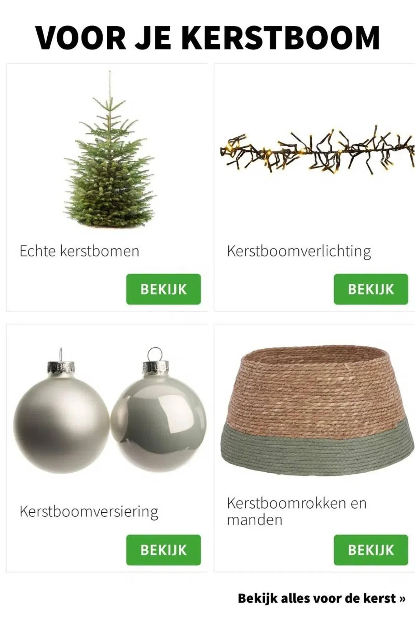 Intratuin folder van 9 oktober tot 24 december 2025 - Folder pagina 36