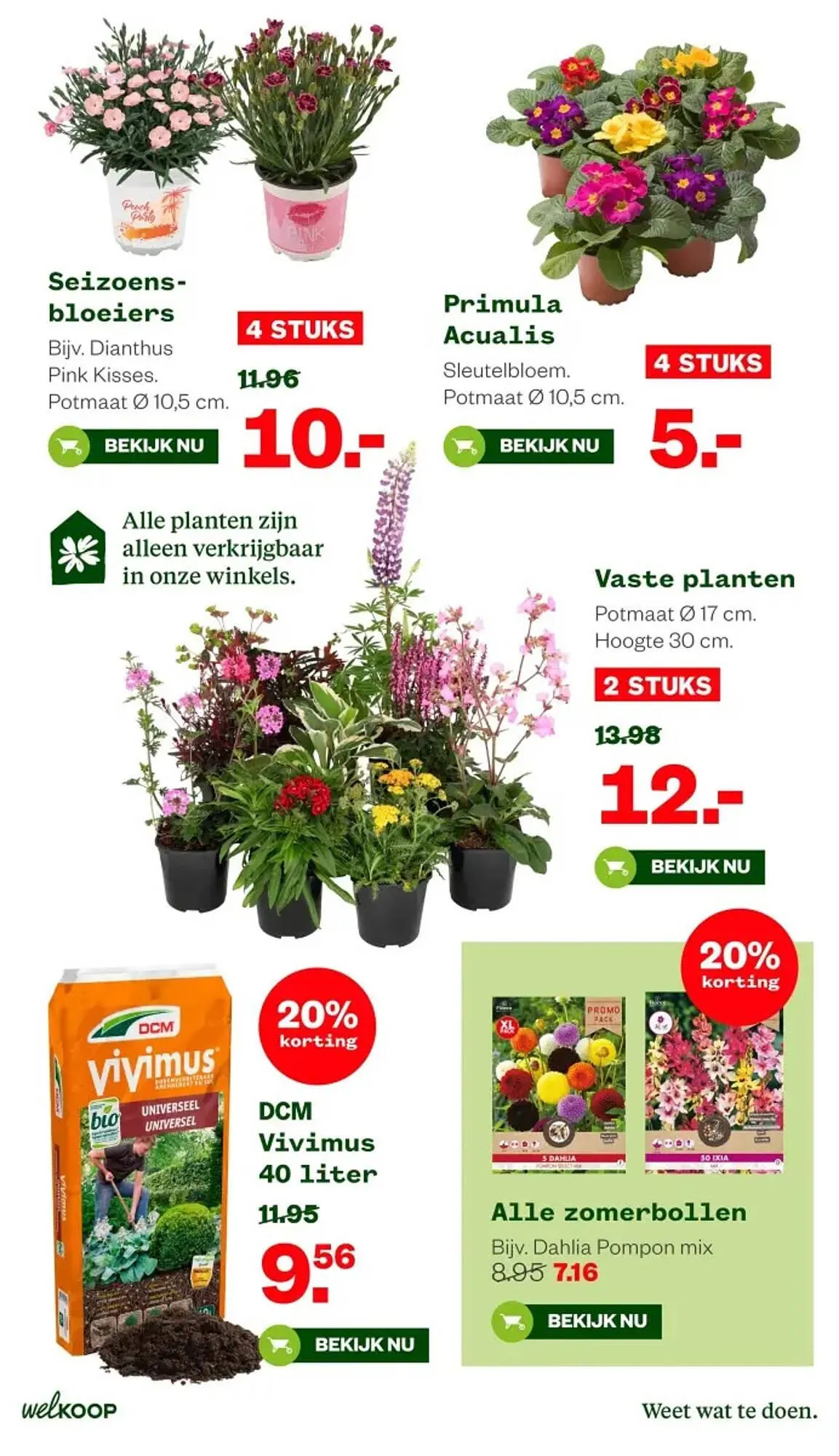 Welkoop folder van 2 maart tot 15 maart 2026 - Folder pagina 4