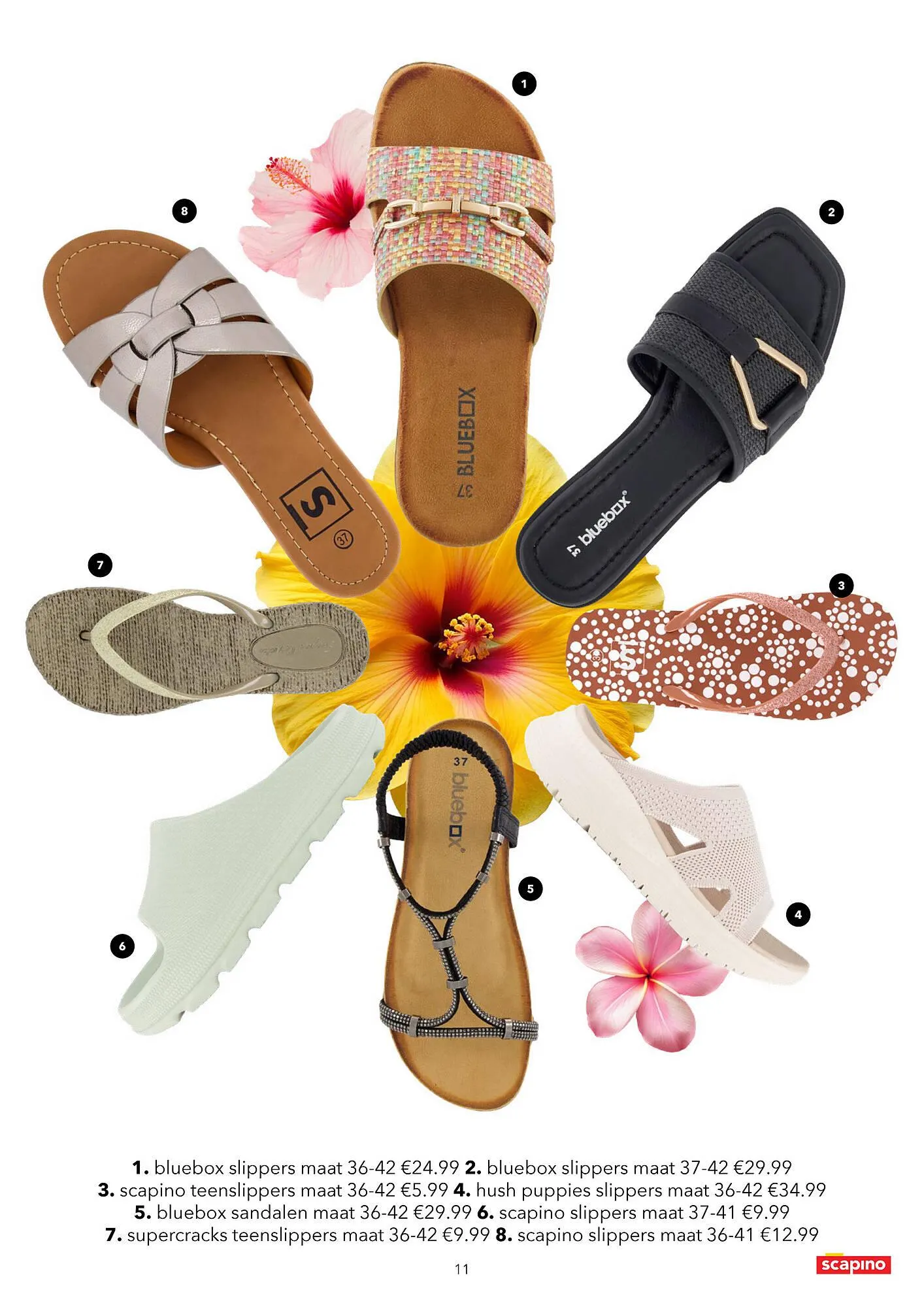 Scapino folder van 8 mei tot 29 juni 2025 - Folder pagina 11