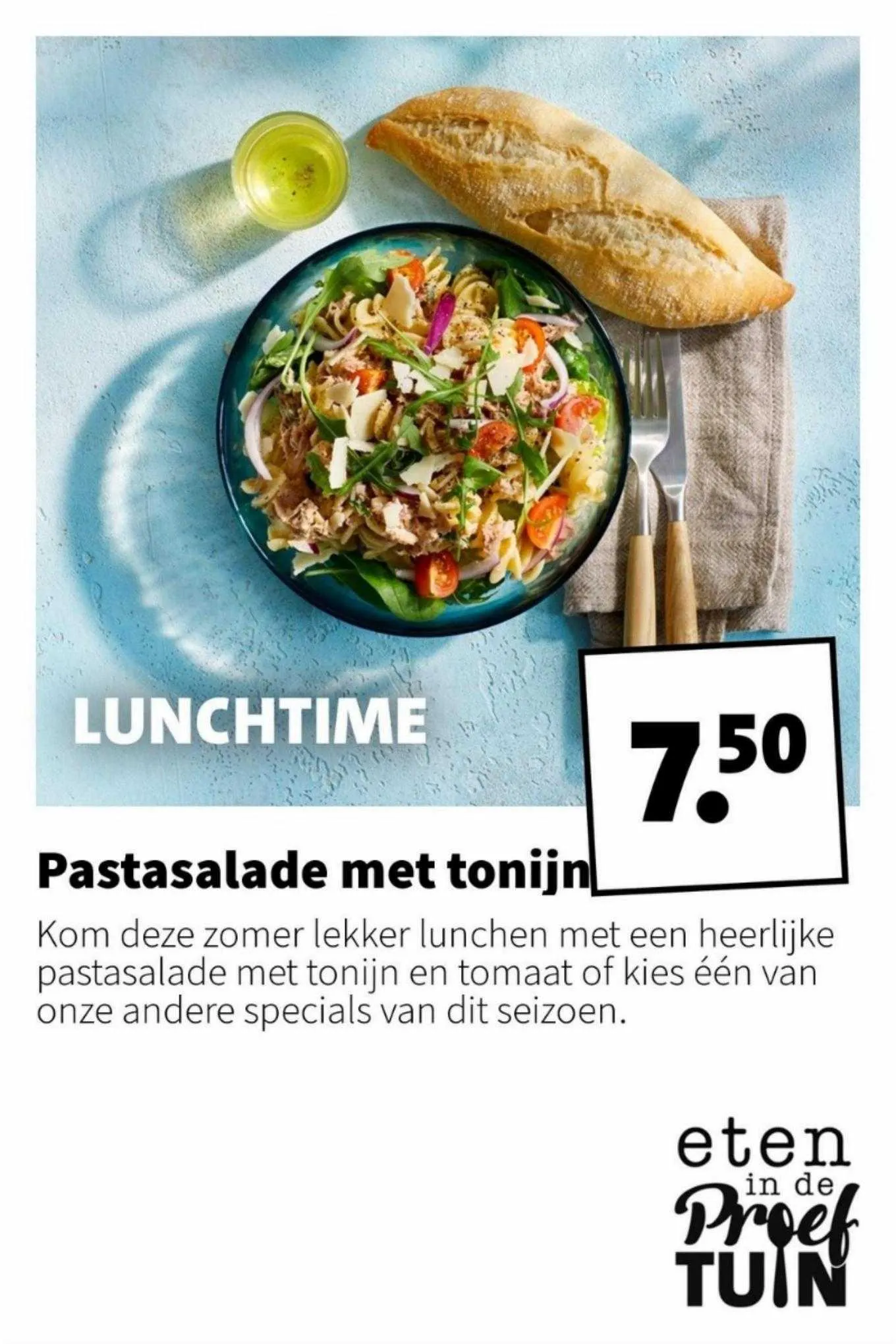 Intratuin Folder van 28 augustus tot 30 augustus 2023 - folder pagina 13