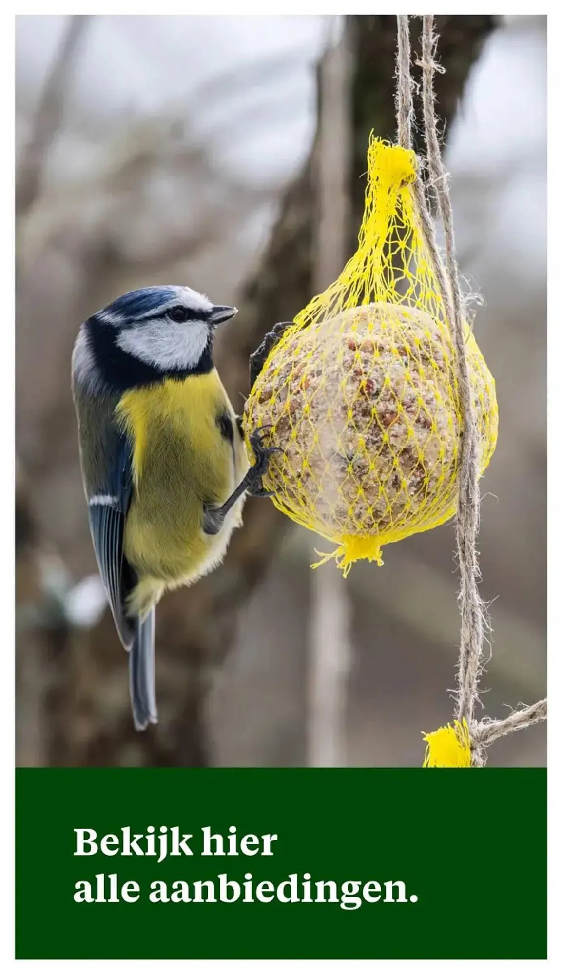 Welkoop folder van 30 december tot 12 januari 2025 - Folder pagina 26