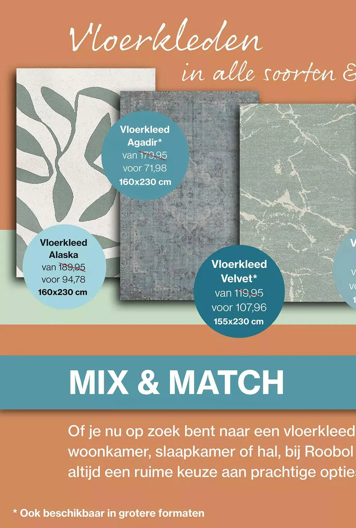 Roobol folder van 15 juli tot 11 augustus 2023 - Folder pagina 6