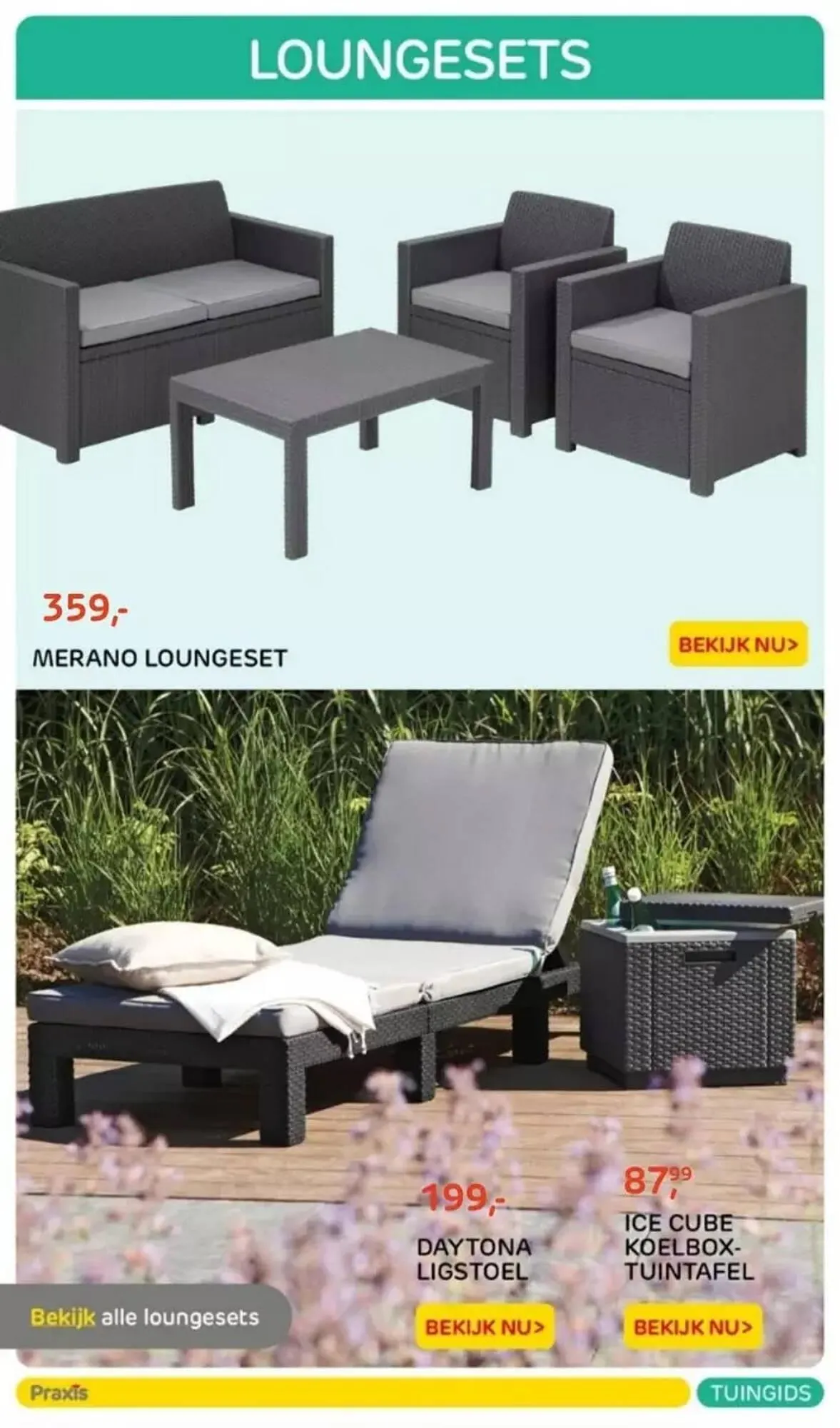 Praxis folder van 20 maart tot 31 augustus 2023 - Folder pagina 12