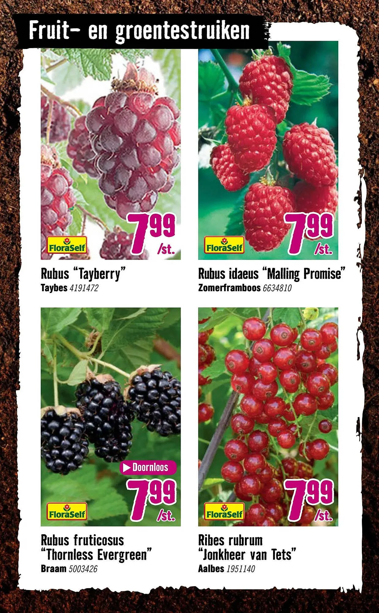 Hornbach folder van 14 april tot 4 mei 2025 - Folder pagina 25