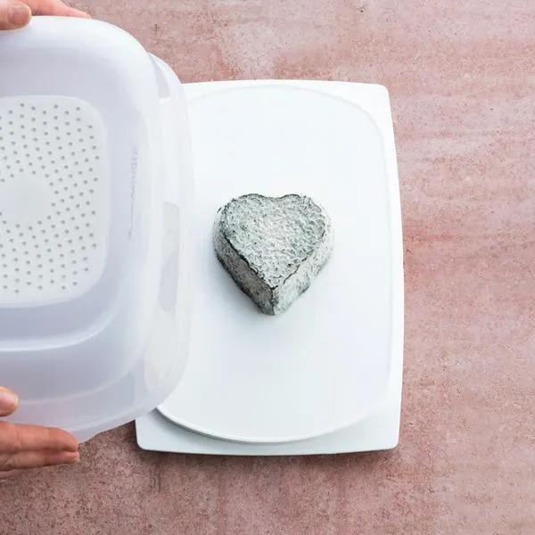 Tupperware Cheesmart Lanwerpig