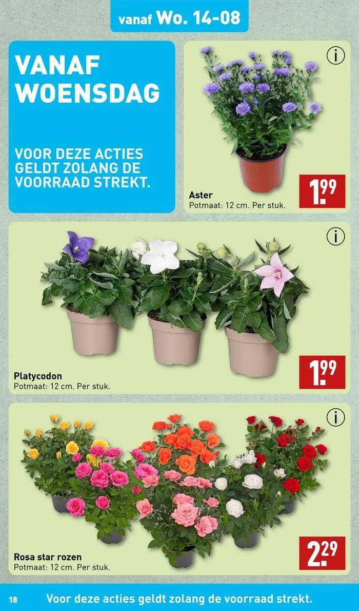 Nieuwe aanbiedingen om te ontdekken van 8 augustus tot 22 augustus 2024 - Folder pagina 18