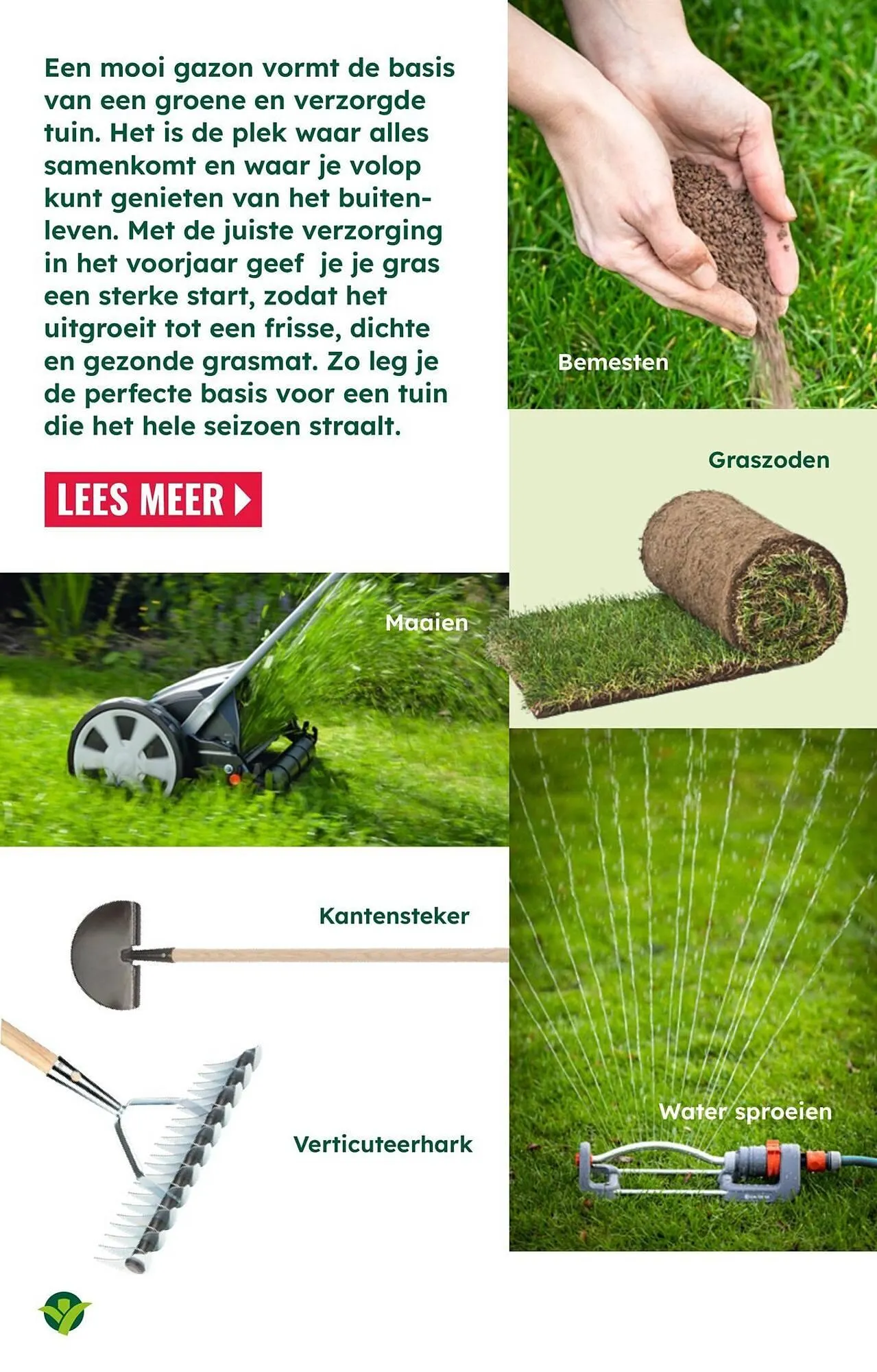 GroenRijk folder van 18 maart tot 1 april 2026 - Folder pagina 13