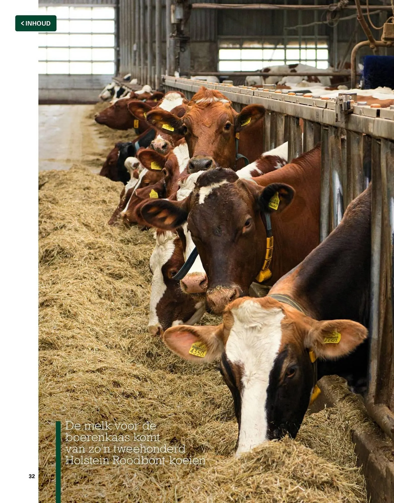 Sligro magazine van 1 juni tot 31 augustus 2026 - Folder pagina 32