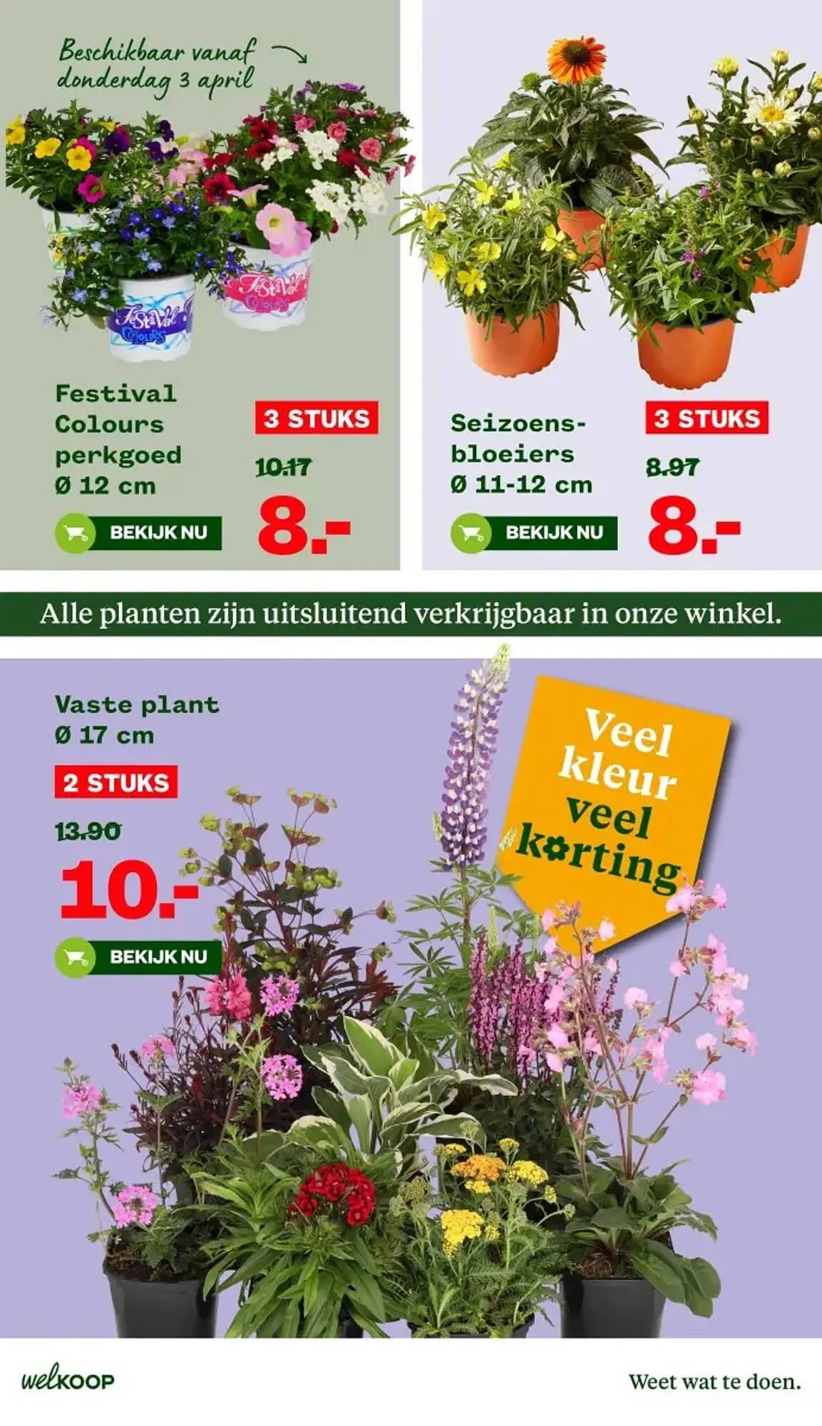 Welkoop folder van 31 maart tot 13 april 2025 - Folder pagina 3