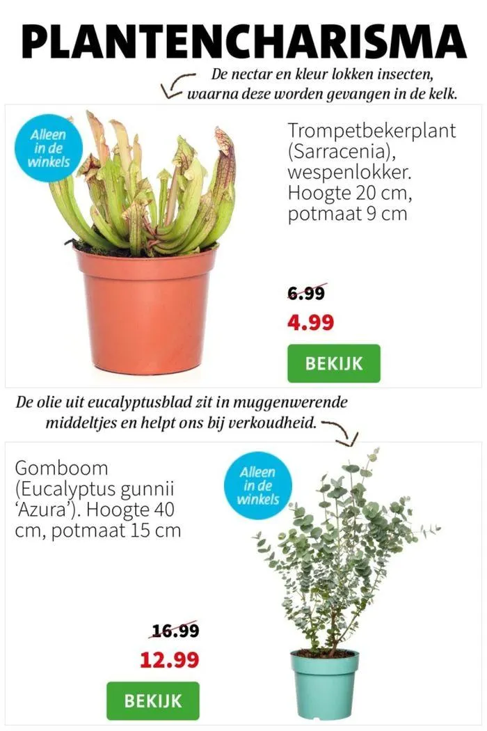 Folder week 29 2024 dyn van 15 juli tot 29 juli 2024 - Folder pagina 3