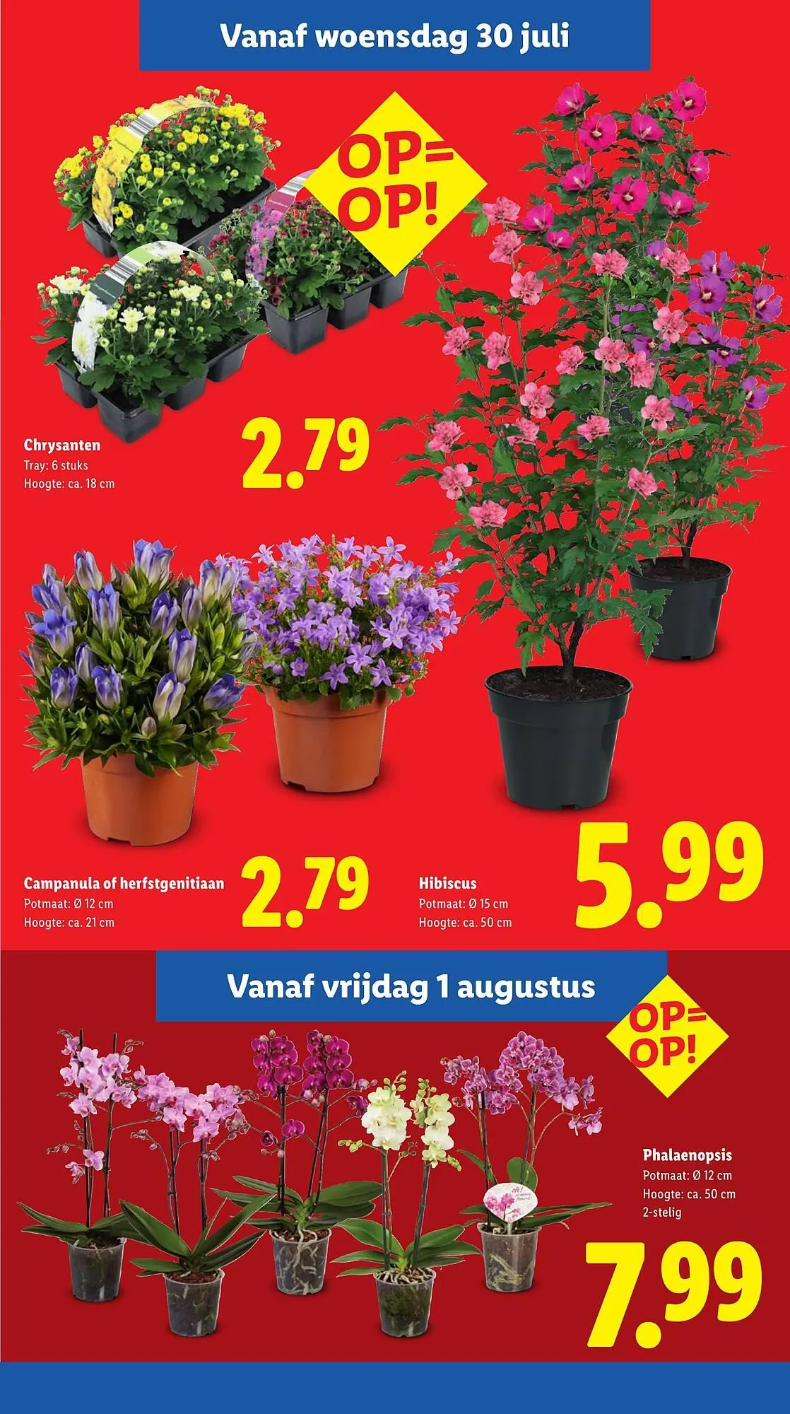 Lidl folder van 28 juli tot 3 augustus 2025 - Folder pagina 12