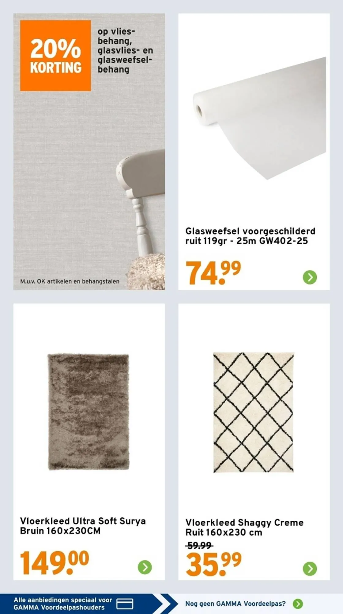 GAMMA folder van 14 april tot 20 april 2025 - Folder pagina 45