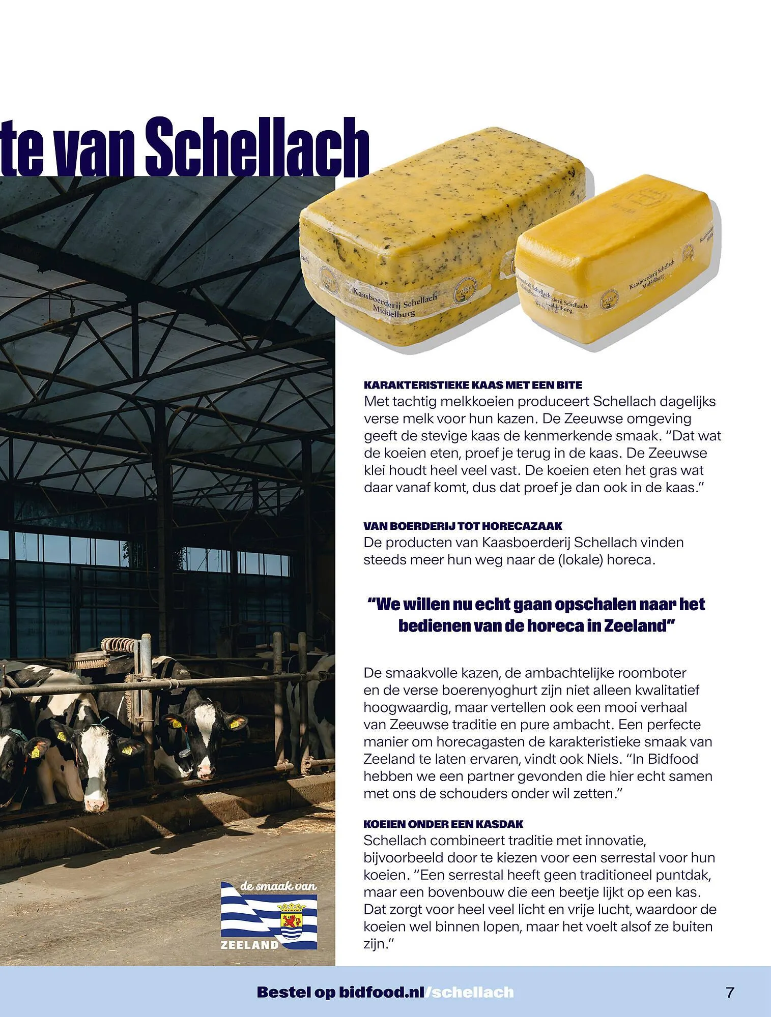 Bidfood folder van 10 maart tot 31 december 2025 - Folder pagina 7