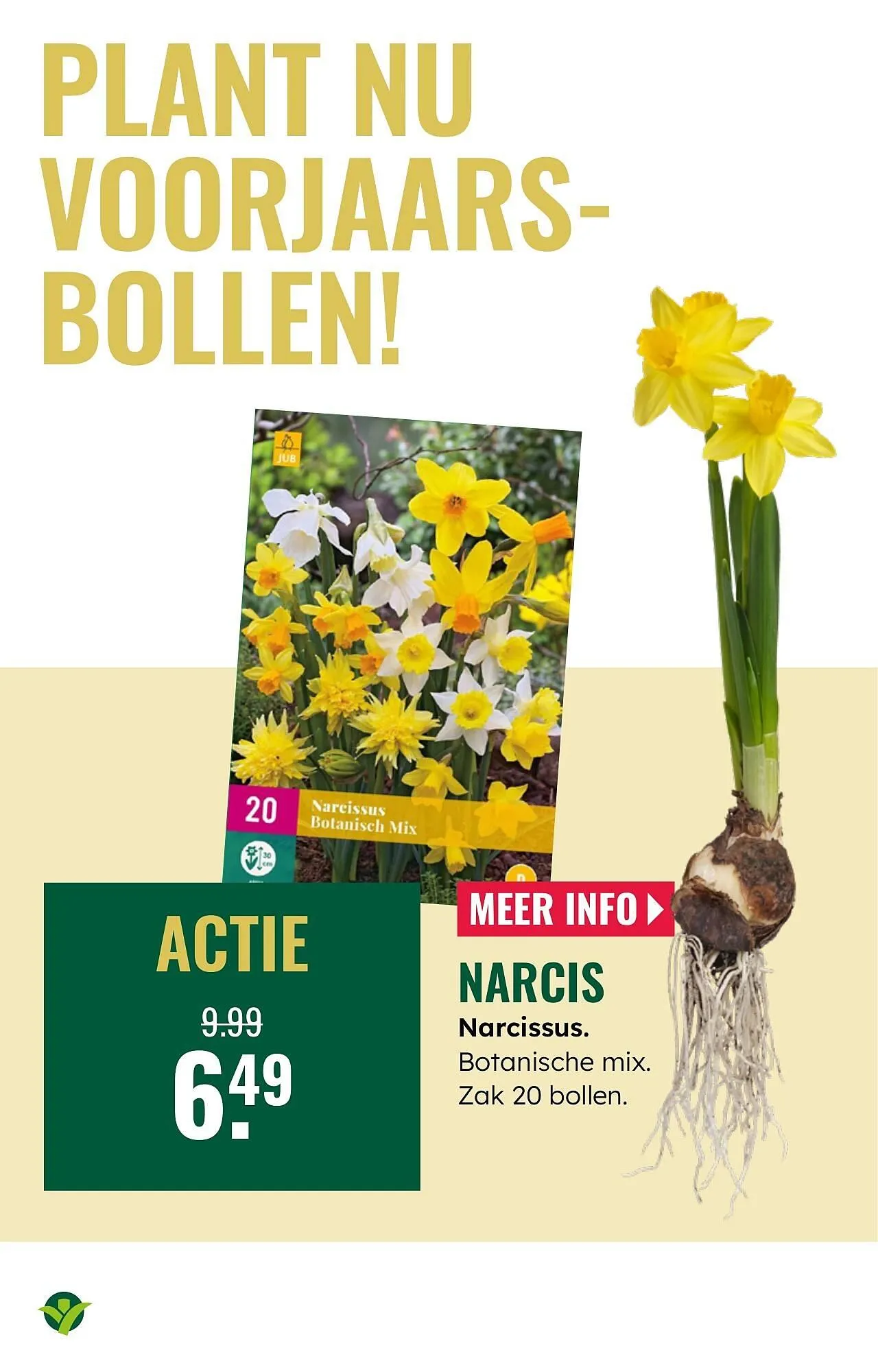 GroenRijk folder van 1 oktober tot 7 oktober 2025 - Folder pagina 21