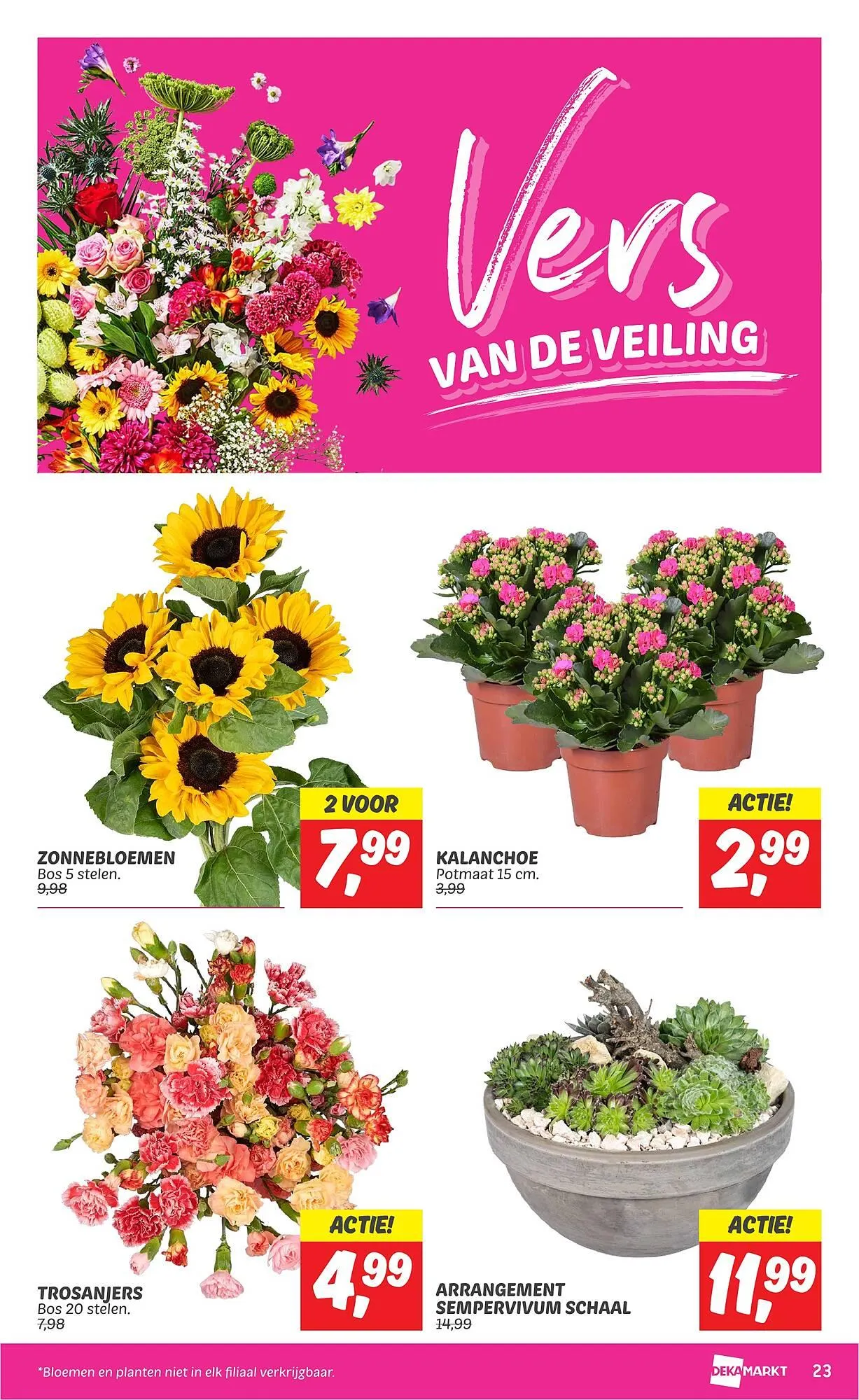 Dekamarkt folder van 6 augustus tot 12 augustus 2024 - Folder pagina 23