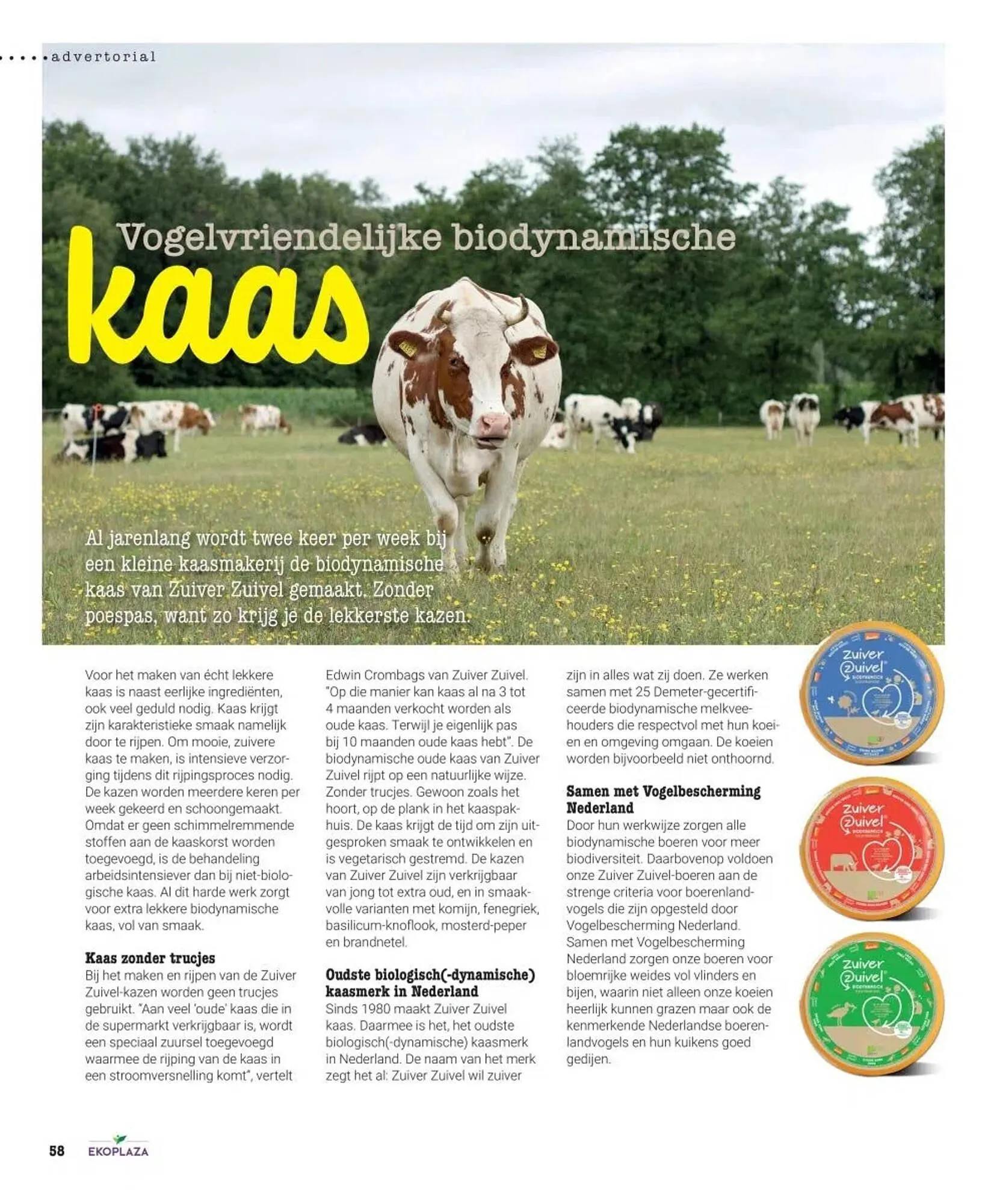 Ekoplaza folder van 19 maart tot 29 april 2025 - Folder pagina 58