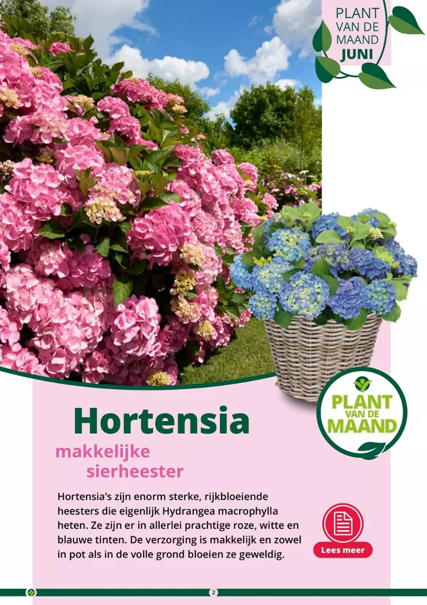 GroenRijk folder van 17 mei tot 31 augustus 2023 - Folder pagina 2