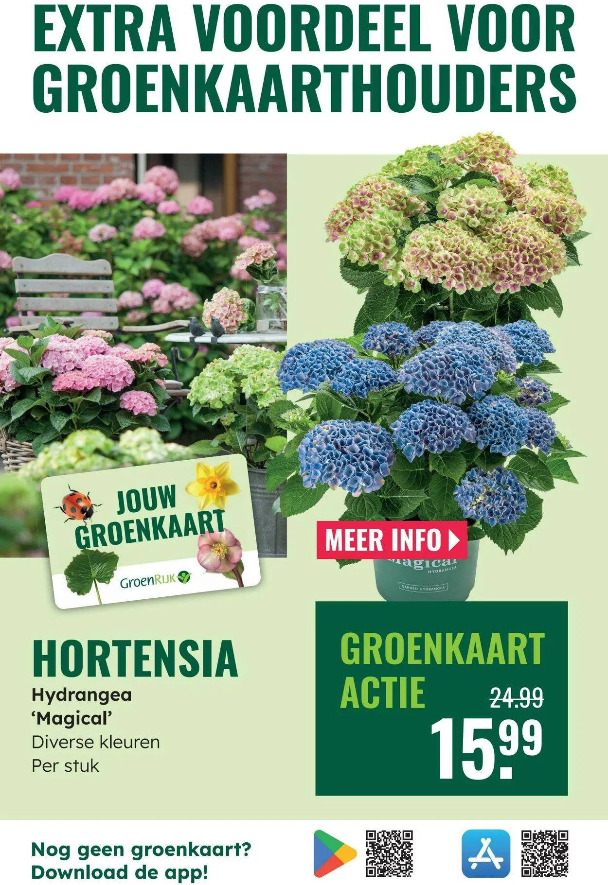 GroenRijk Actuele folder van 2 september tot 16 september 2025 - Folder pagina 17